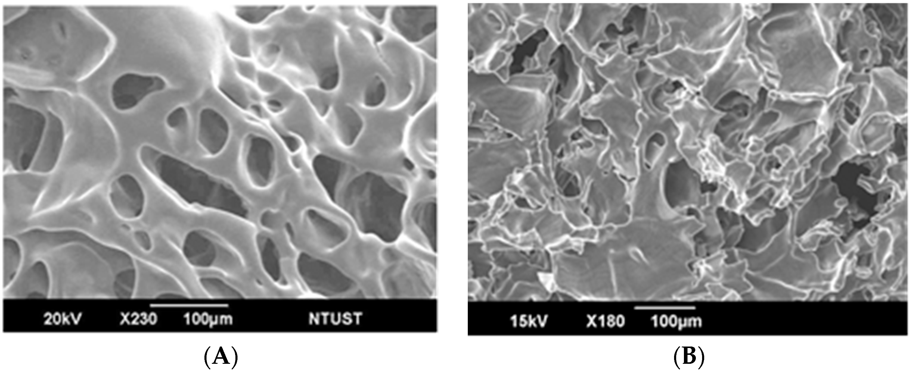 Polymers 11 01592 g007