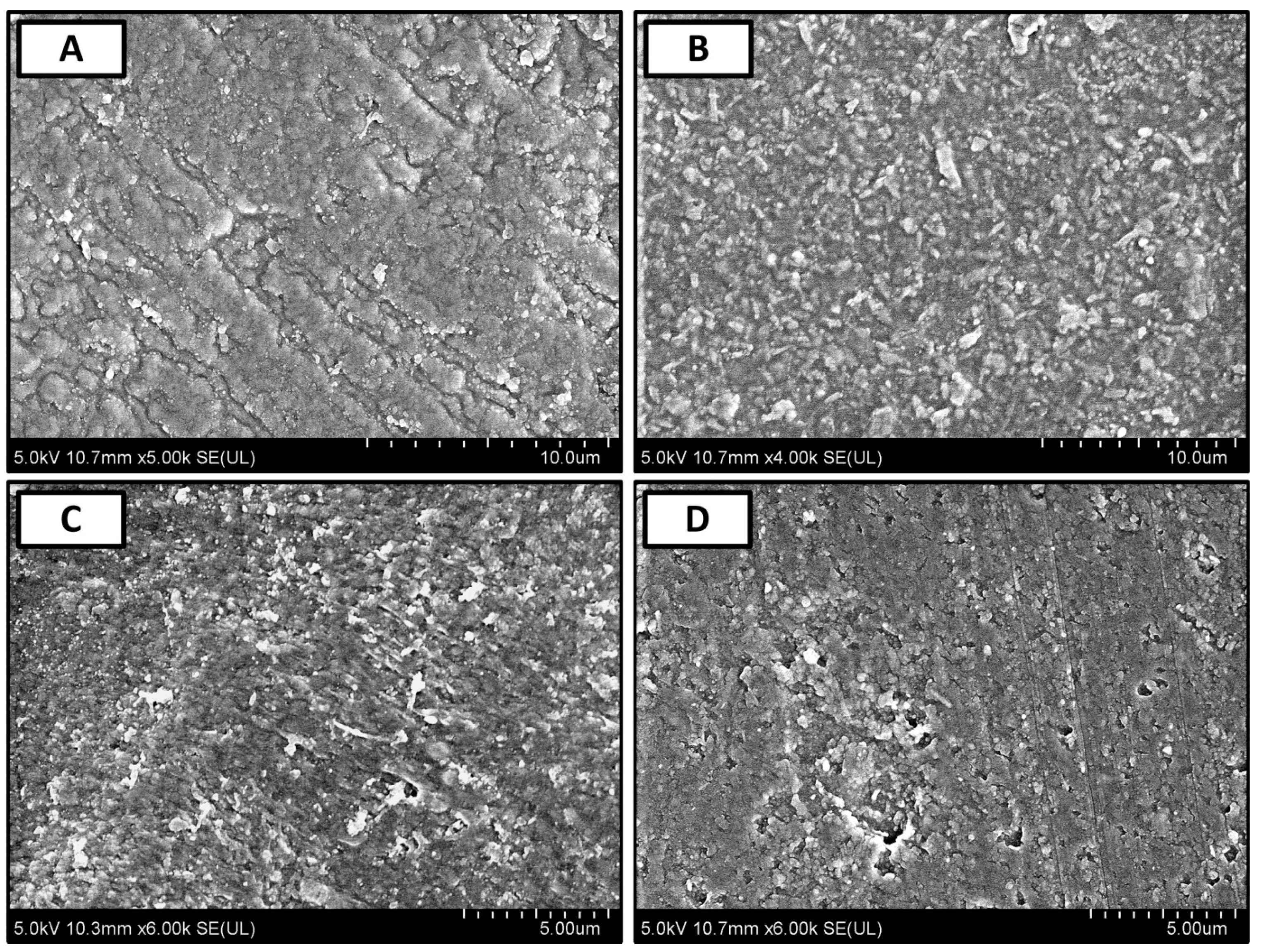 Polymers 11 01594 g004 Polymers 11 01594 g004