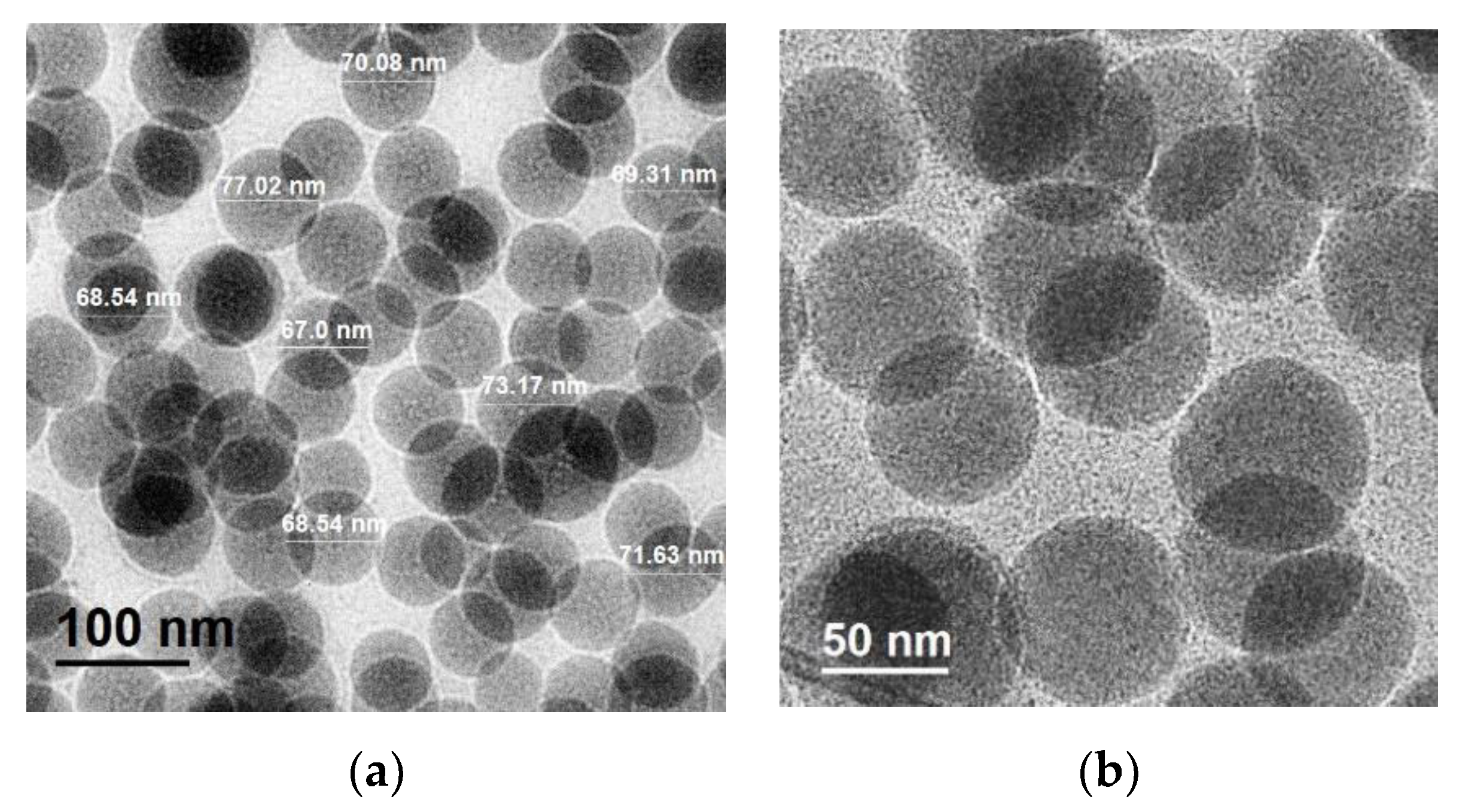 Polymers 11 01596 g010