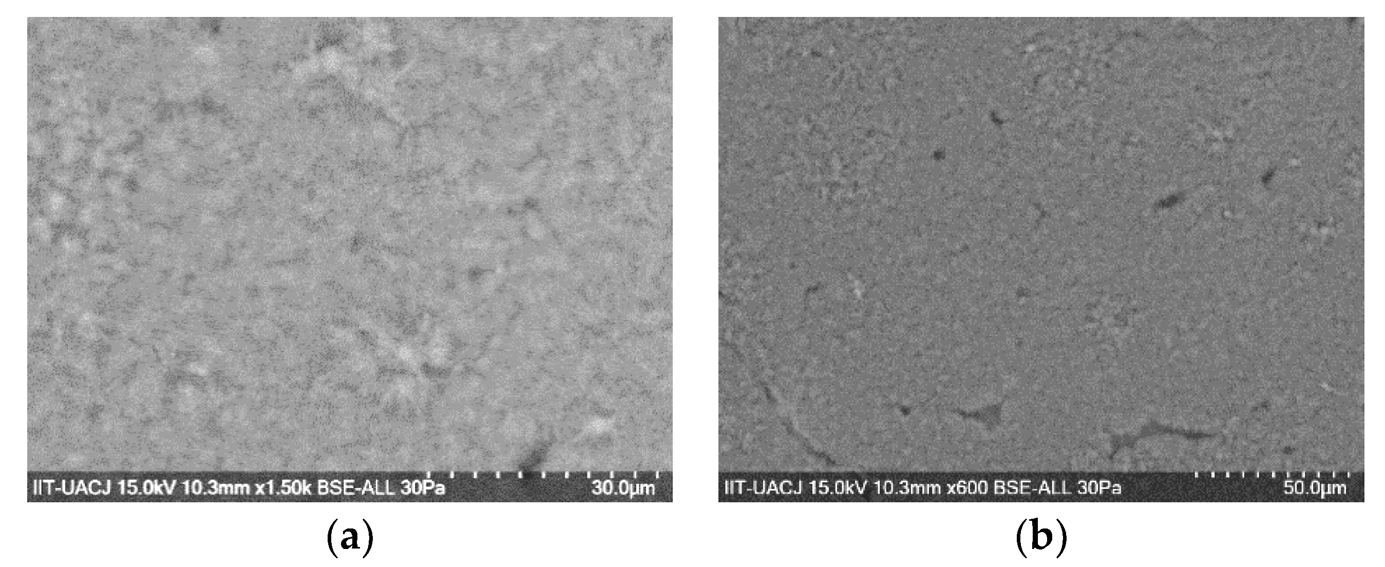 Polymers 11 01596 g014