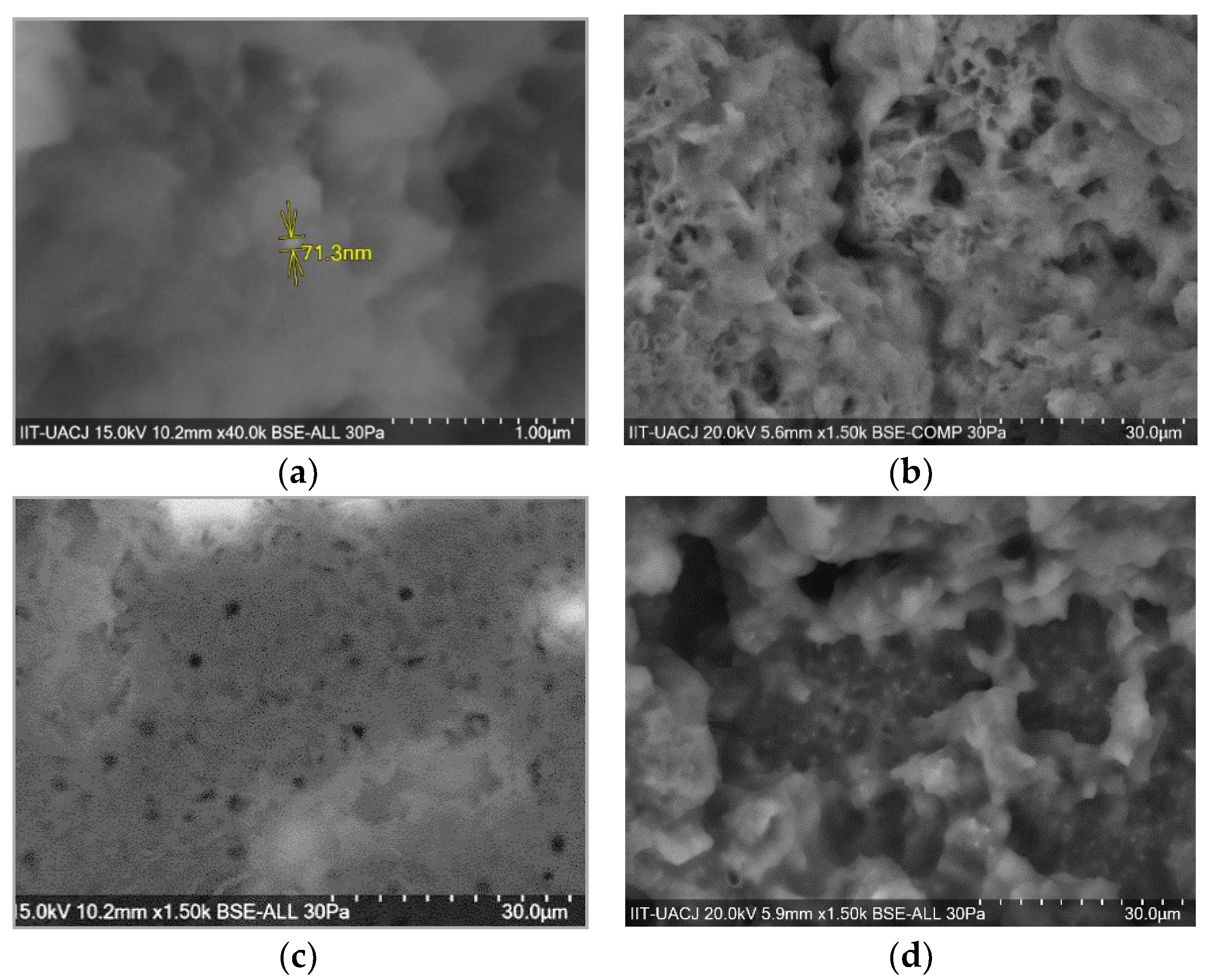 Polymers 11 01596 g018