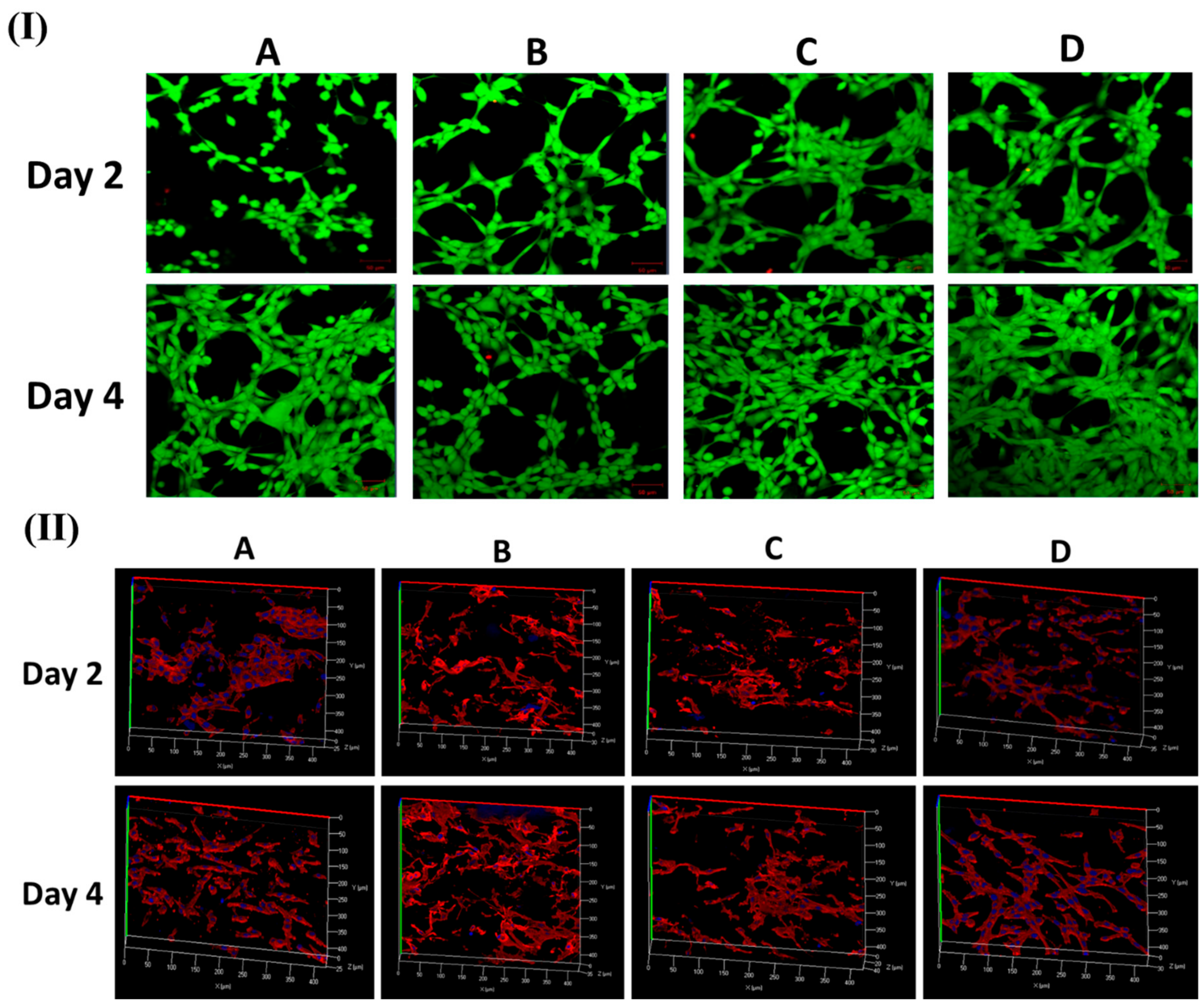 Polymers 11 01602 g005