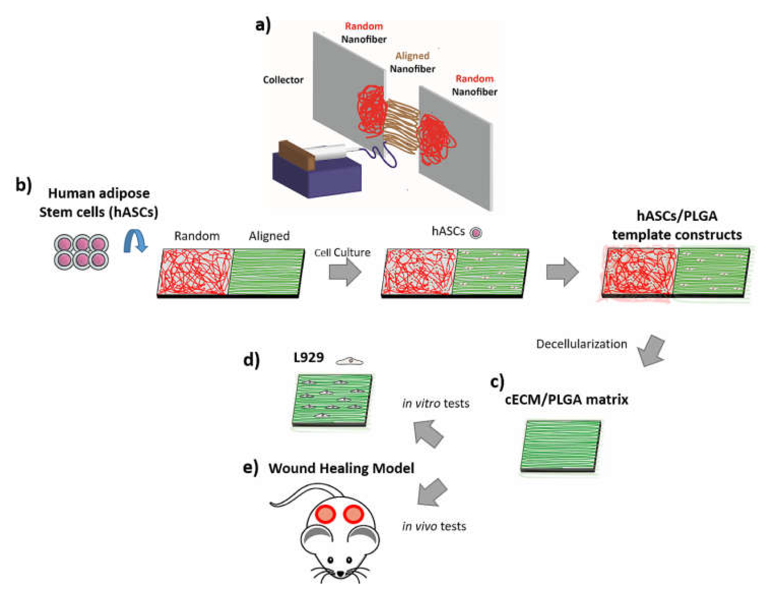 Polymers 11 01609 g001 Polymers 11 01609 g001