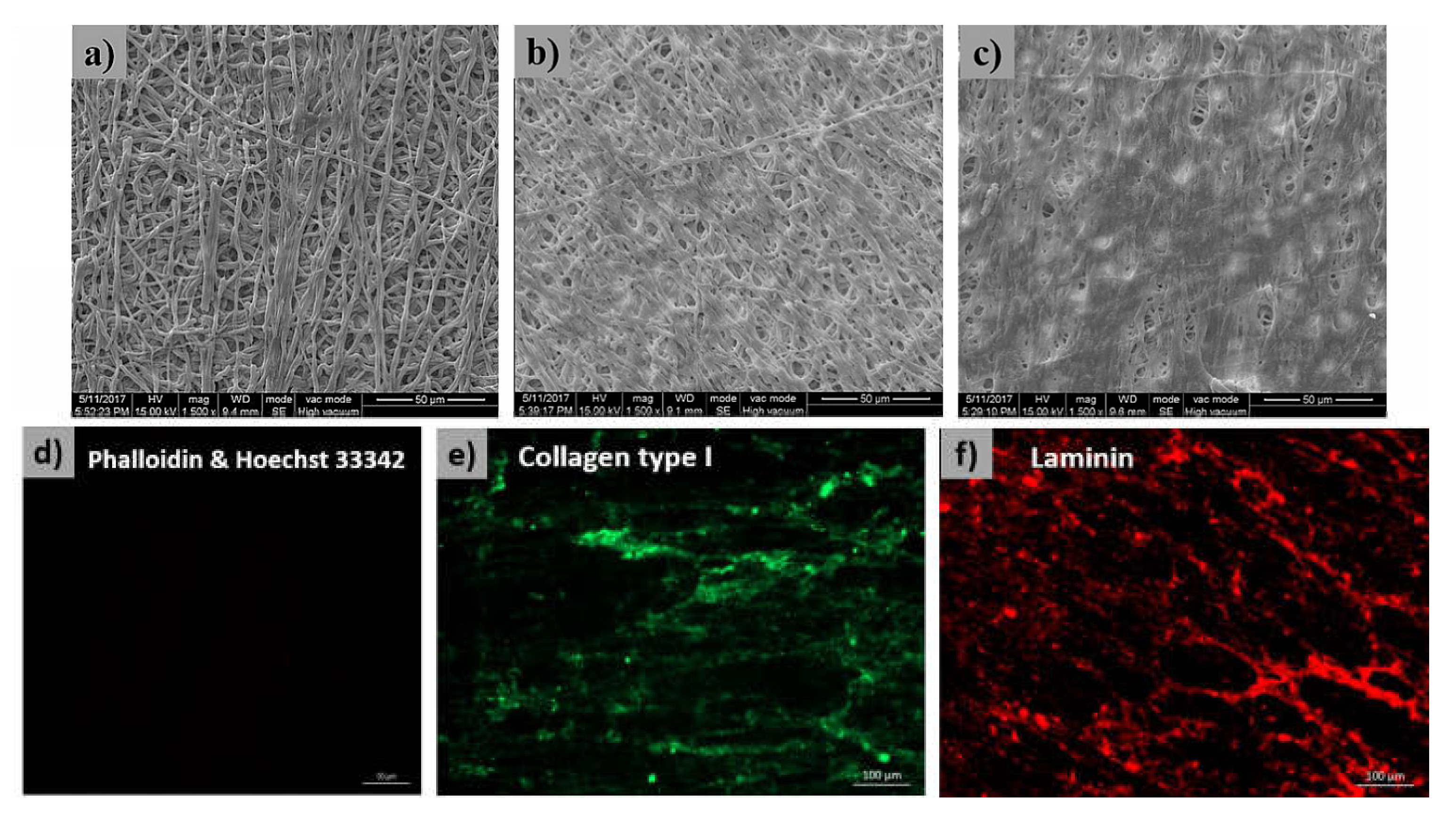 Polymers 11 01609 g003 Polymers 11 01609 g003