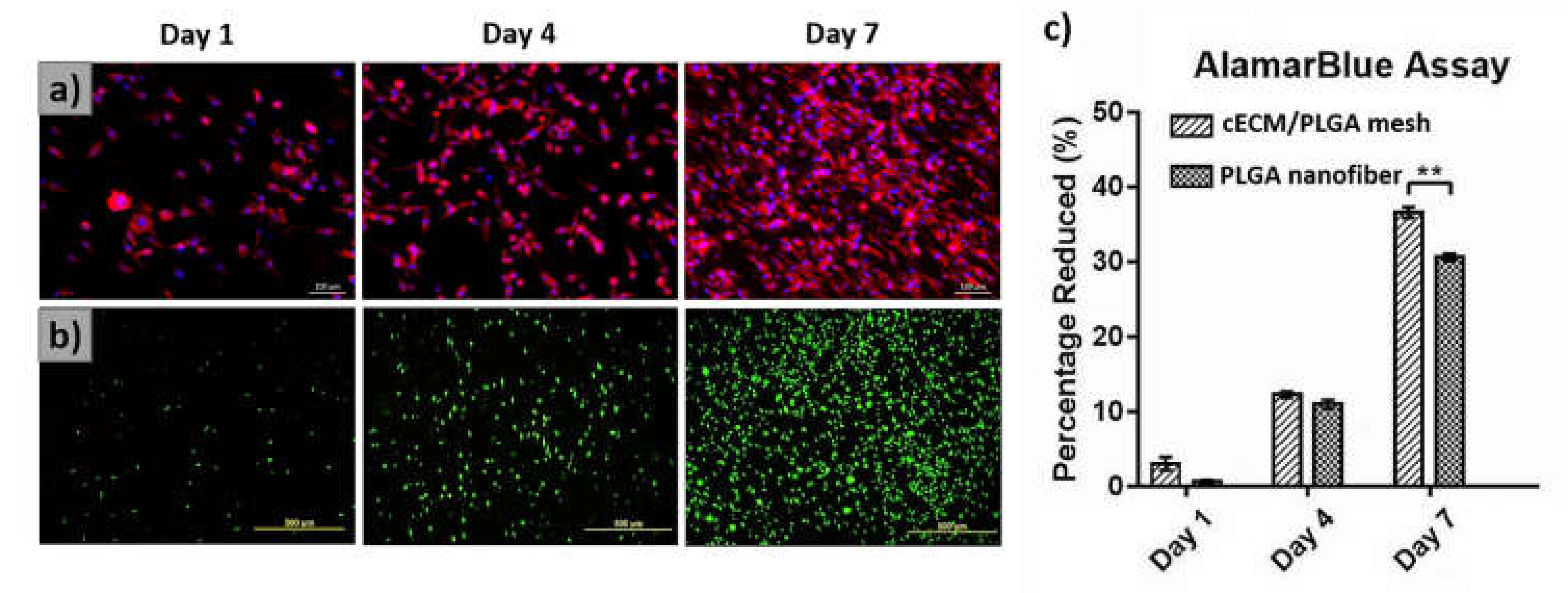 Polymers 11 01609 g005 Polymers 11 01609 g005