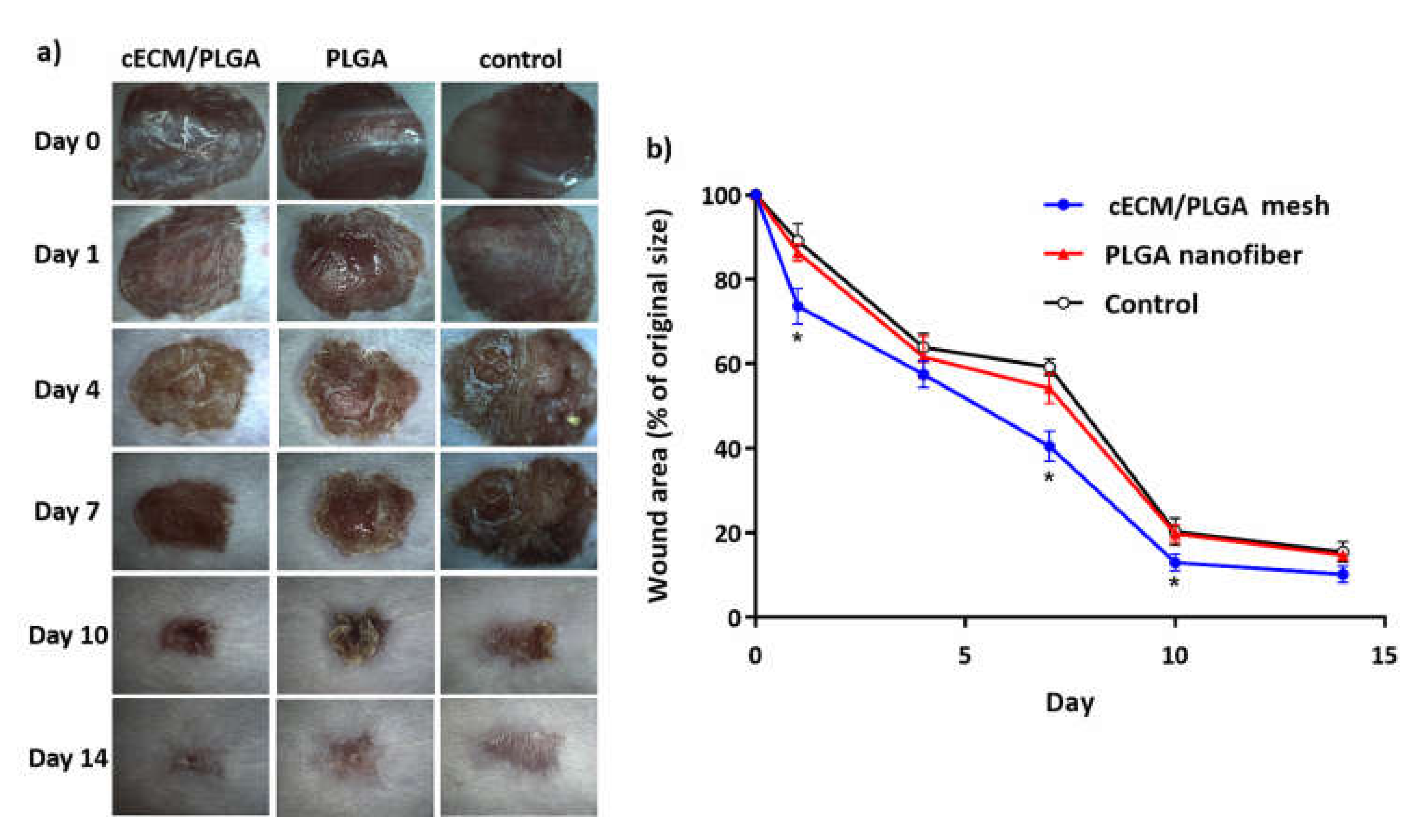 Polymers 11 01609 g006 Polymers 11 01609 g006