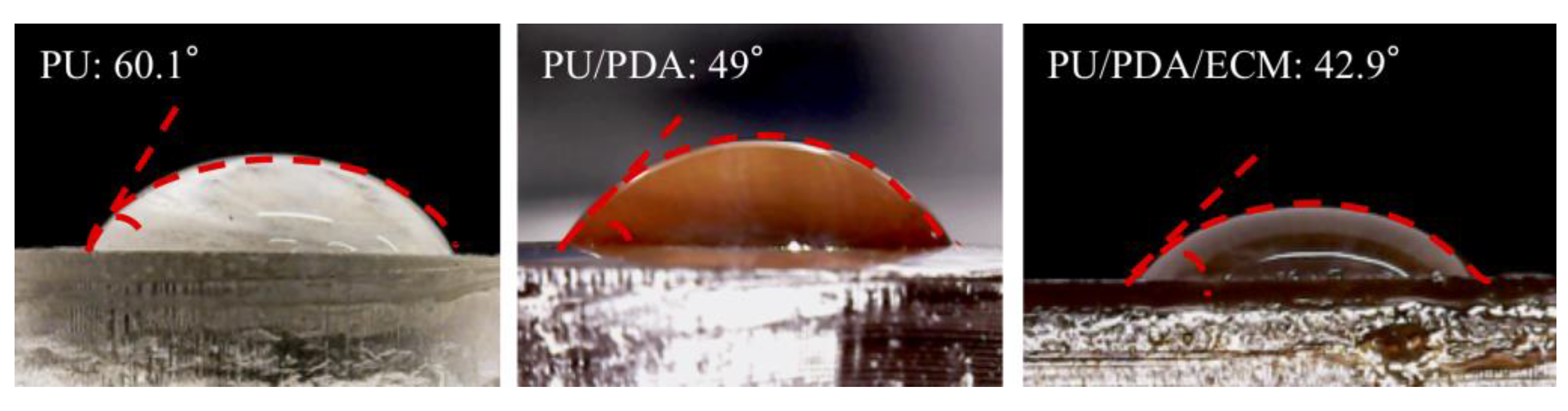 Polymers 11 01612 g002