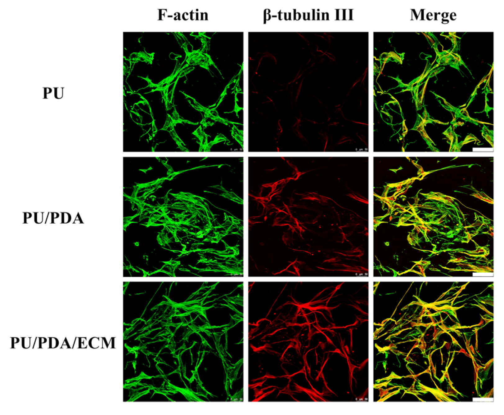 Polymers 11 01612 g010