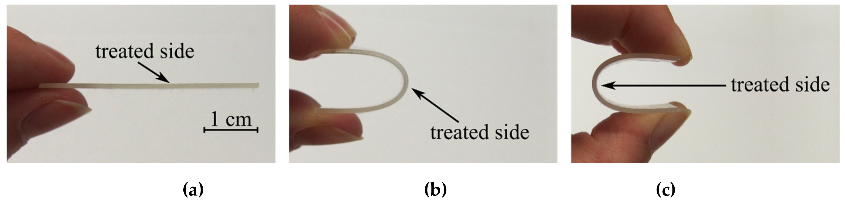 Polymers 11 01613 g002