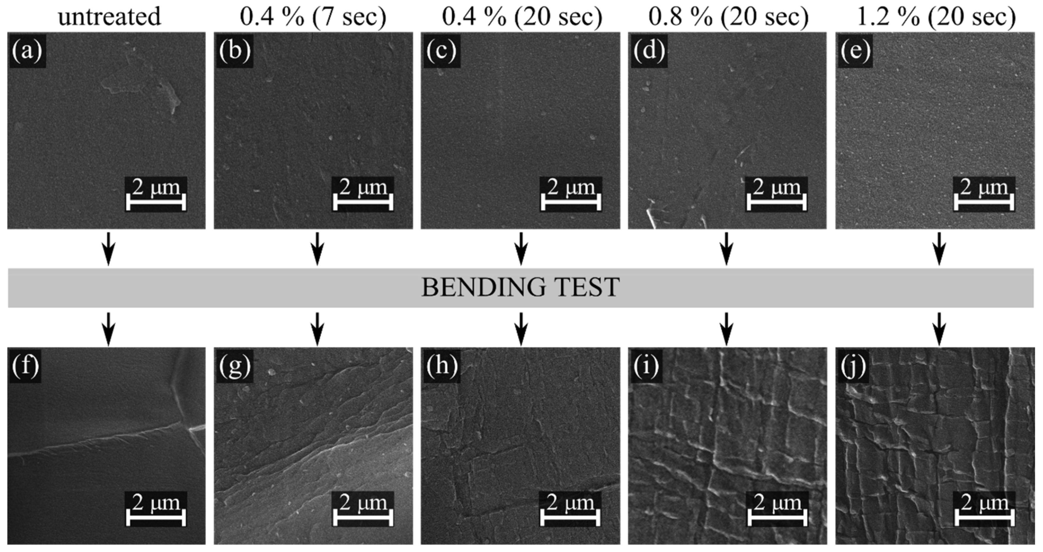 Polymers 11 01613 g008
