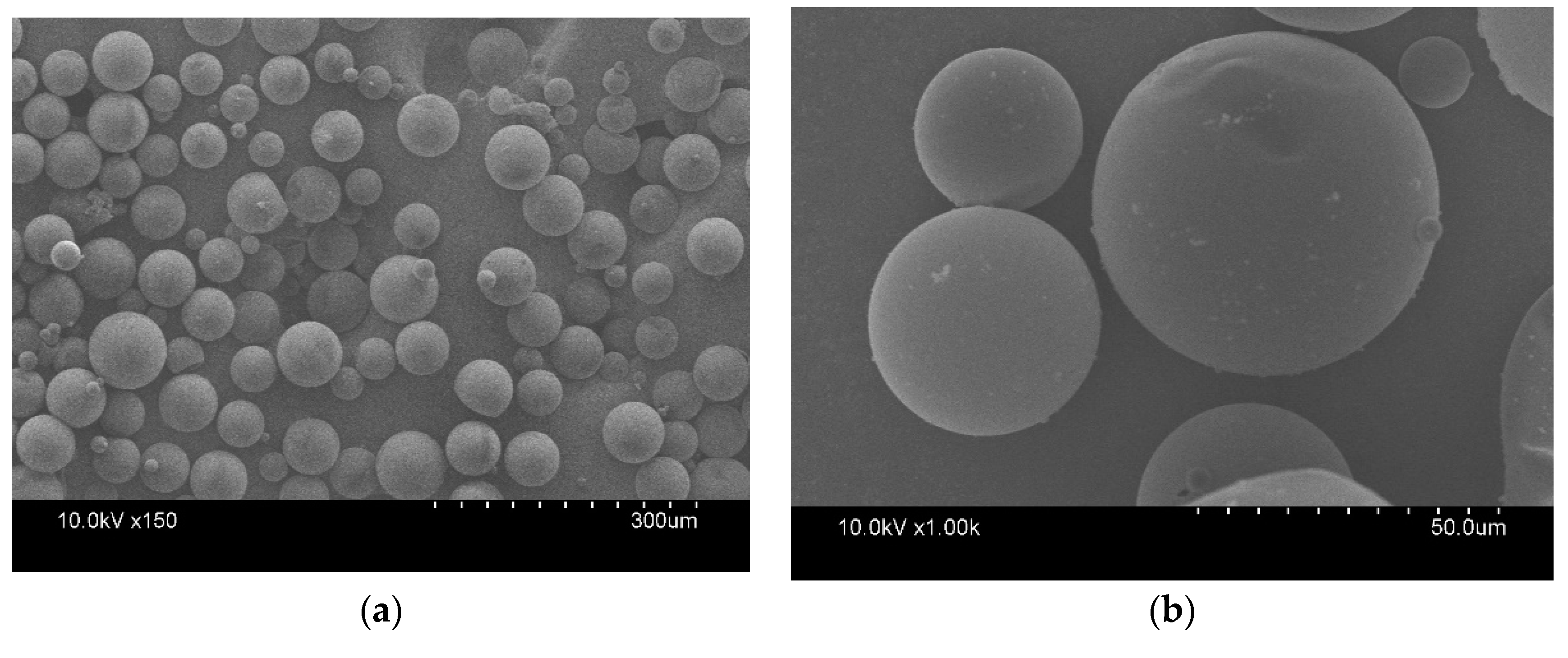 Polymers 11 01616 g004