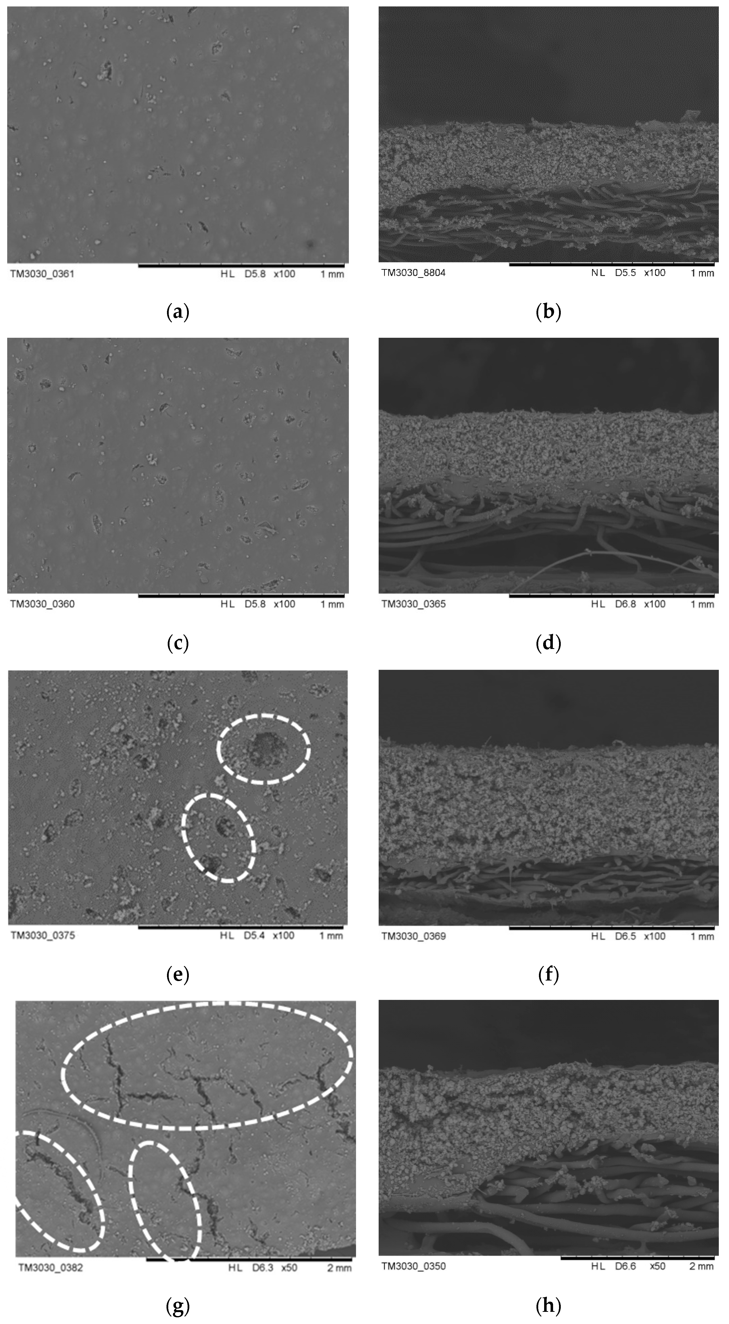 Polymers 11 01616 g007