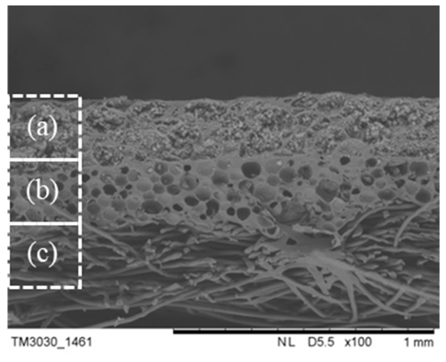 Polymers 11 01616 g008