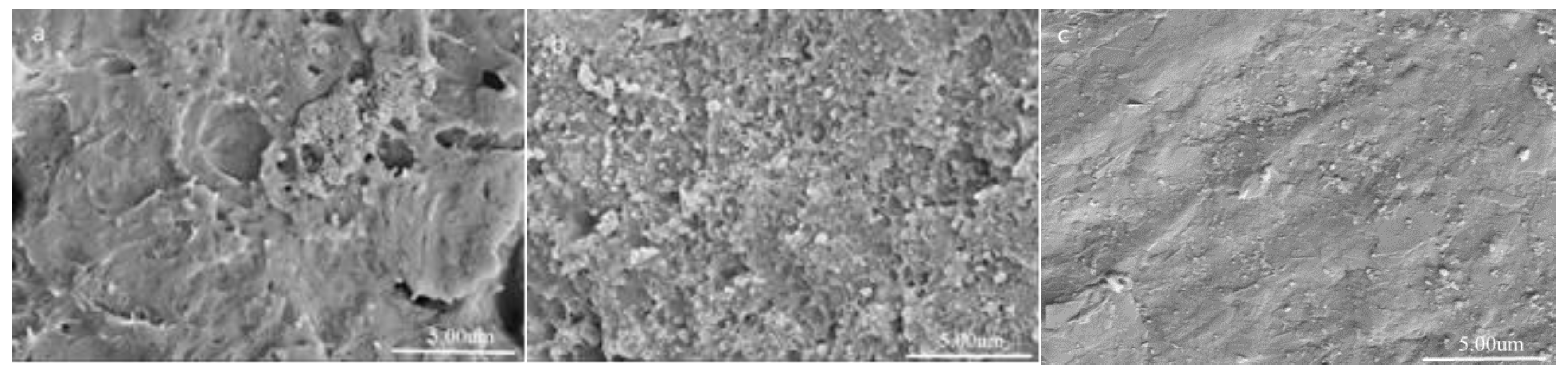 Polymers 11 01623 g005