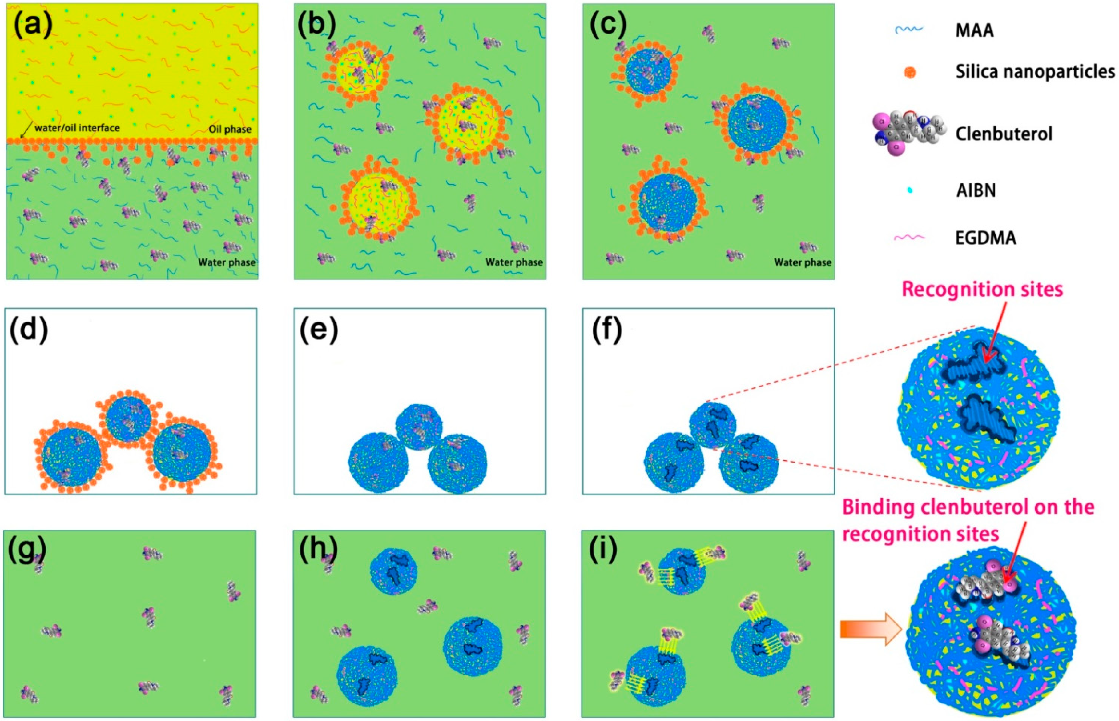 Polymers 11 01635 g001