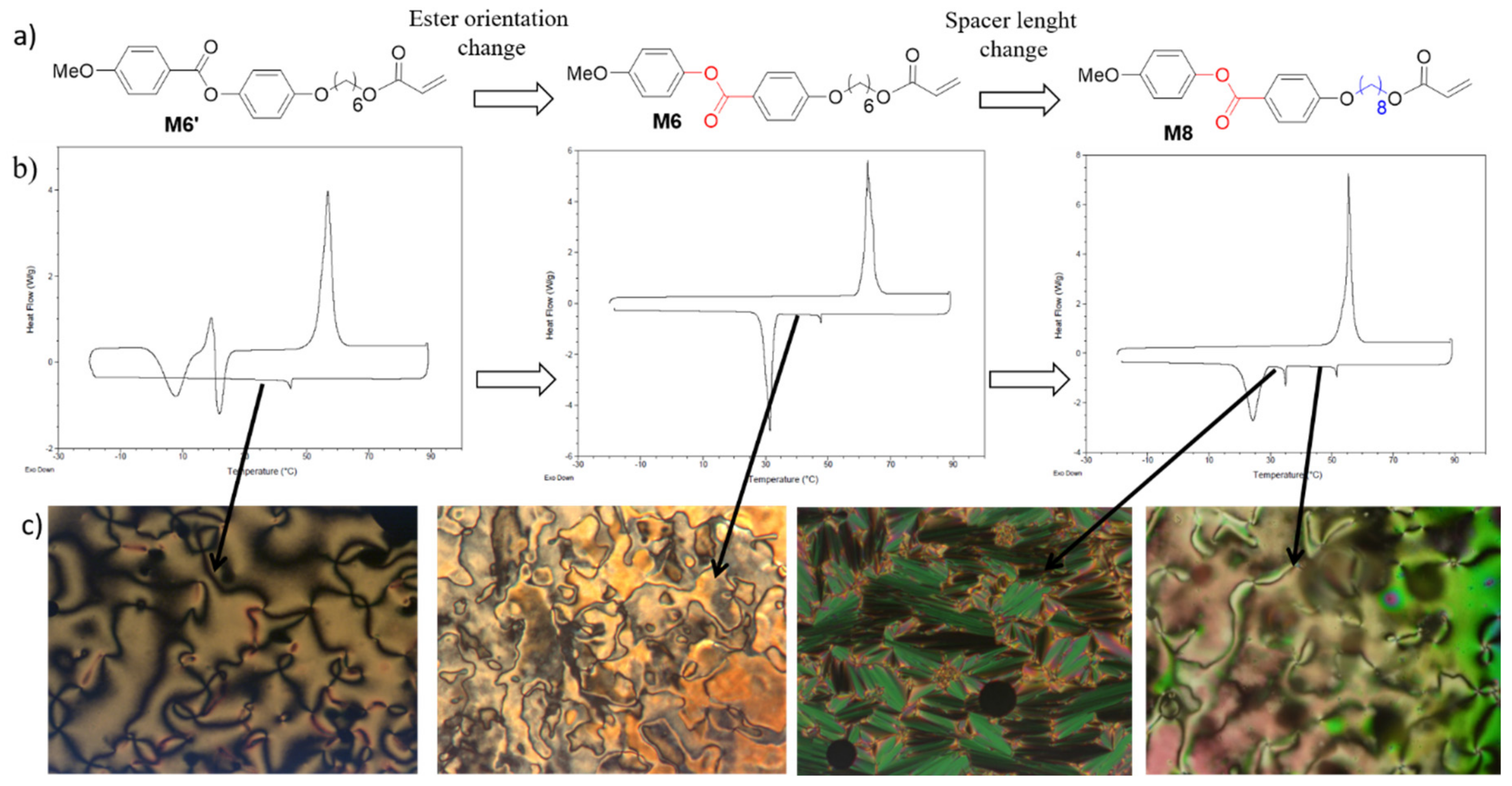 Polymers 11 01644 g002