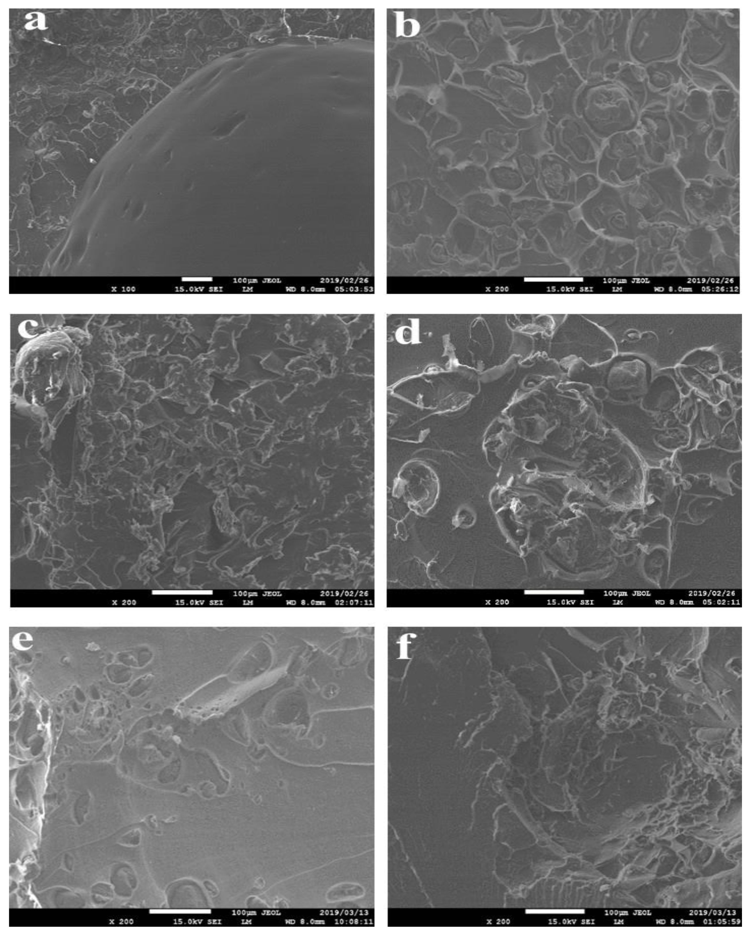Polymers 11 01656 g008