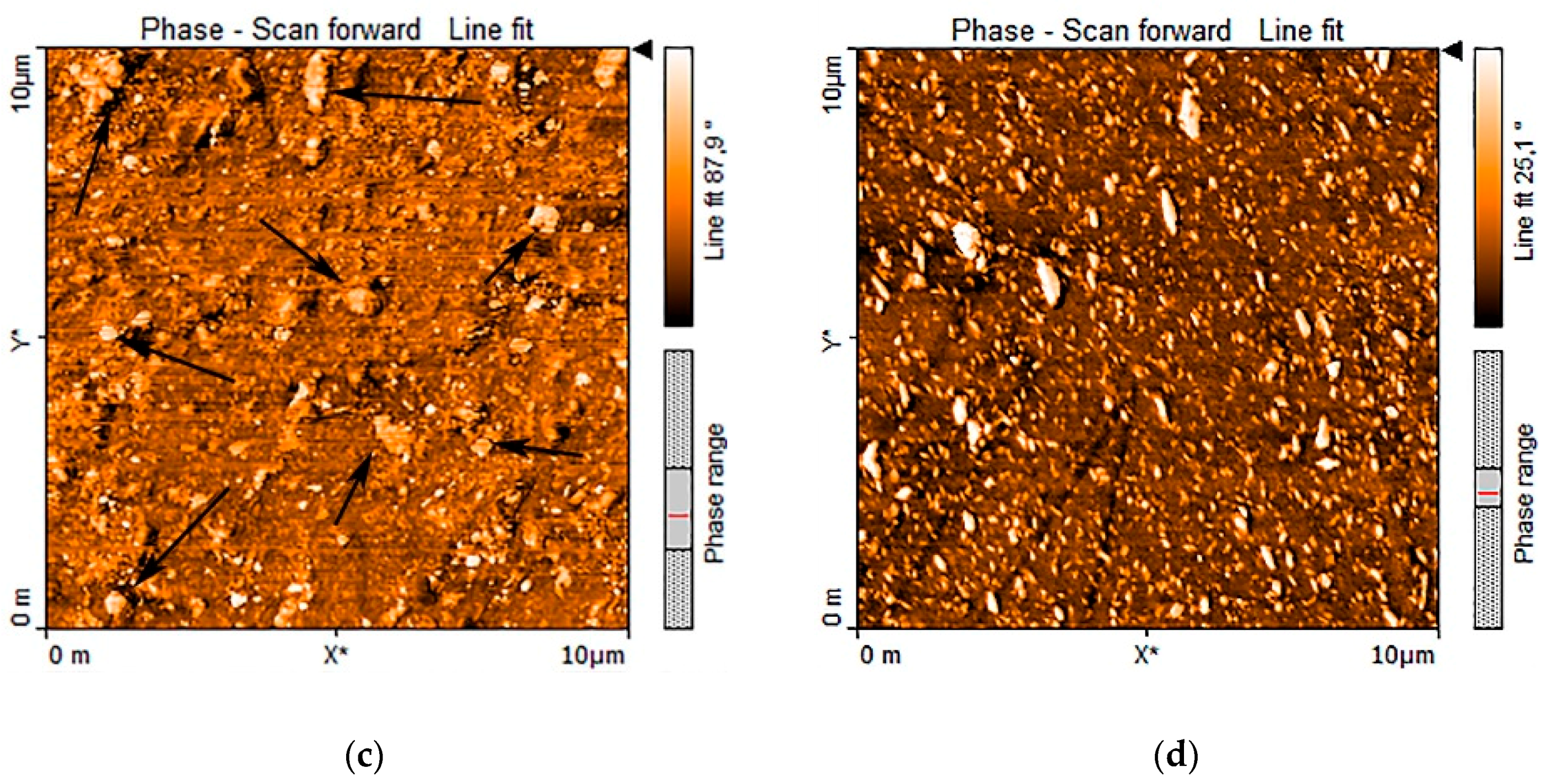 Polymers 11 01663 g012b