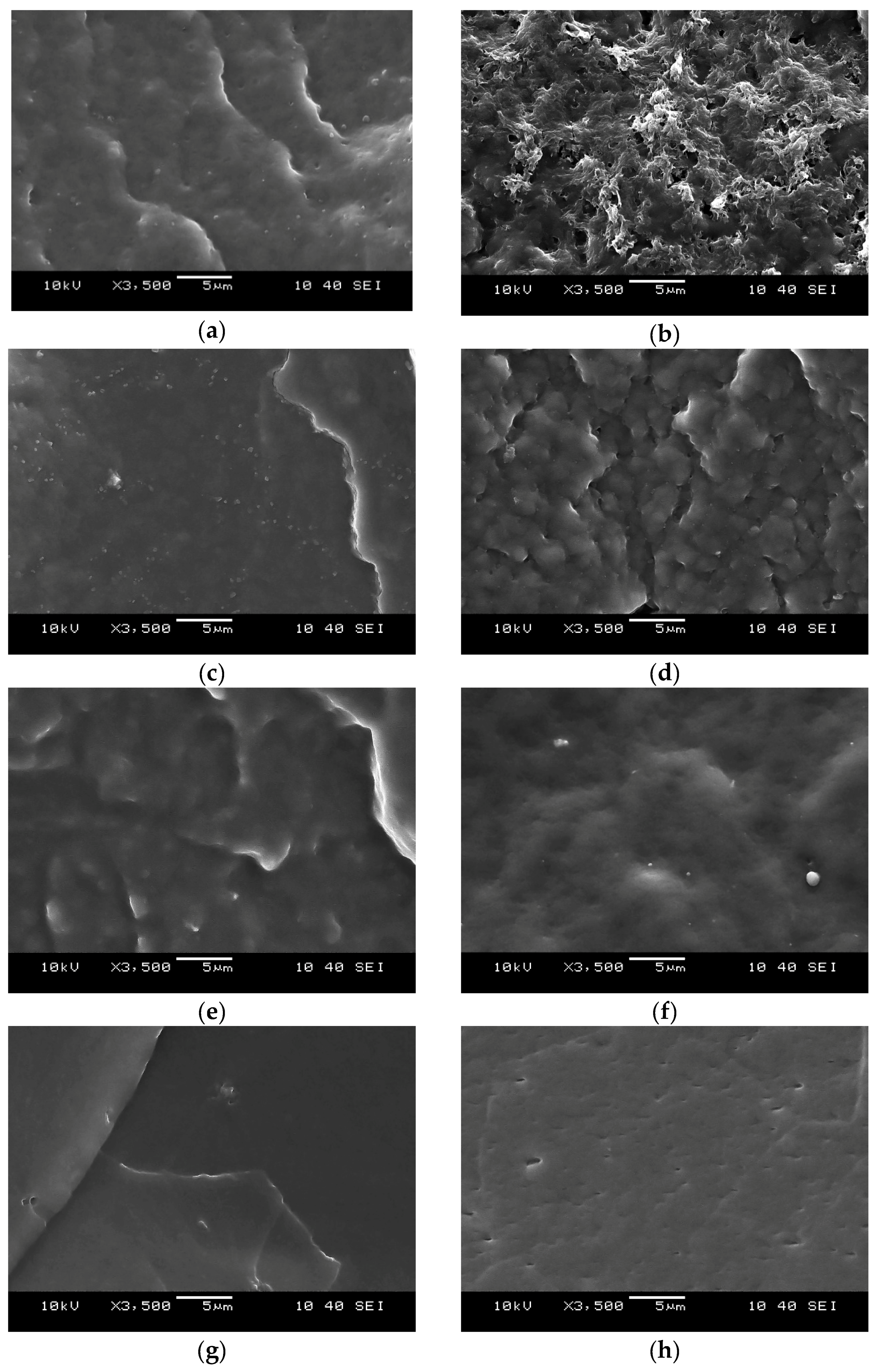 Polymers 11 01663 g013