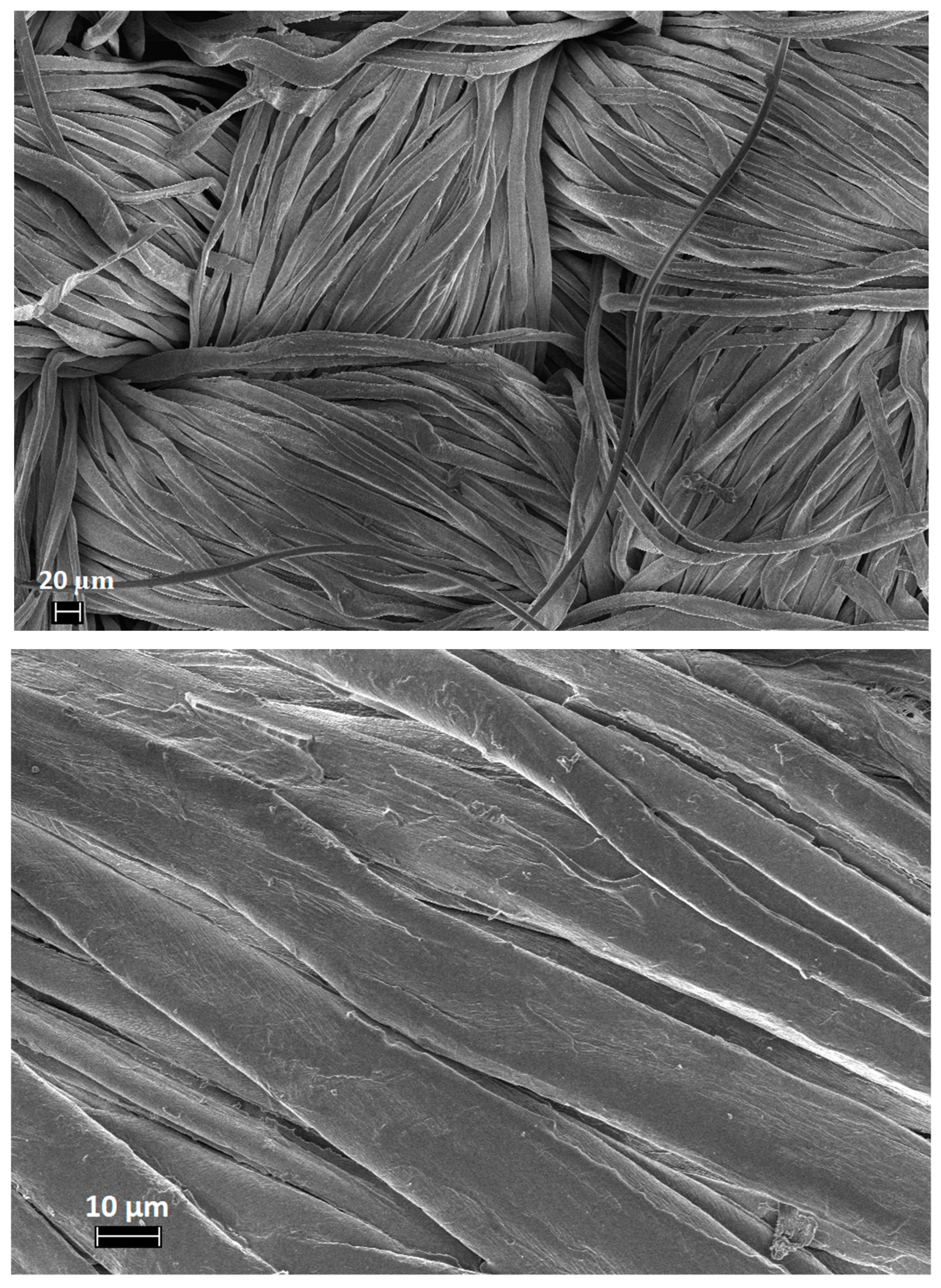 Polymers 11 01664 g005