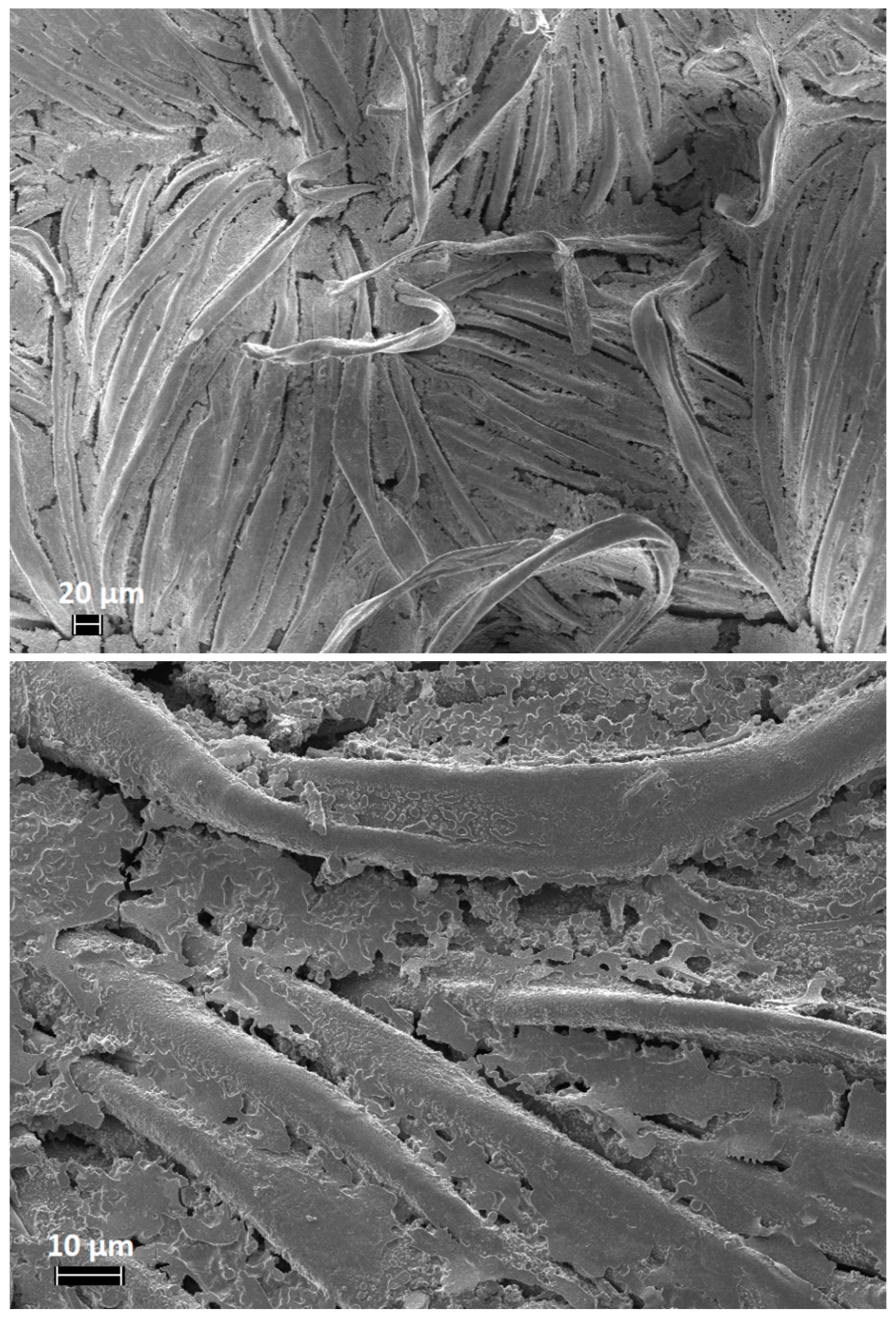 Polymers 11 01664 g006