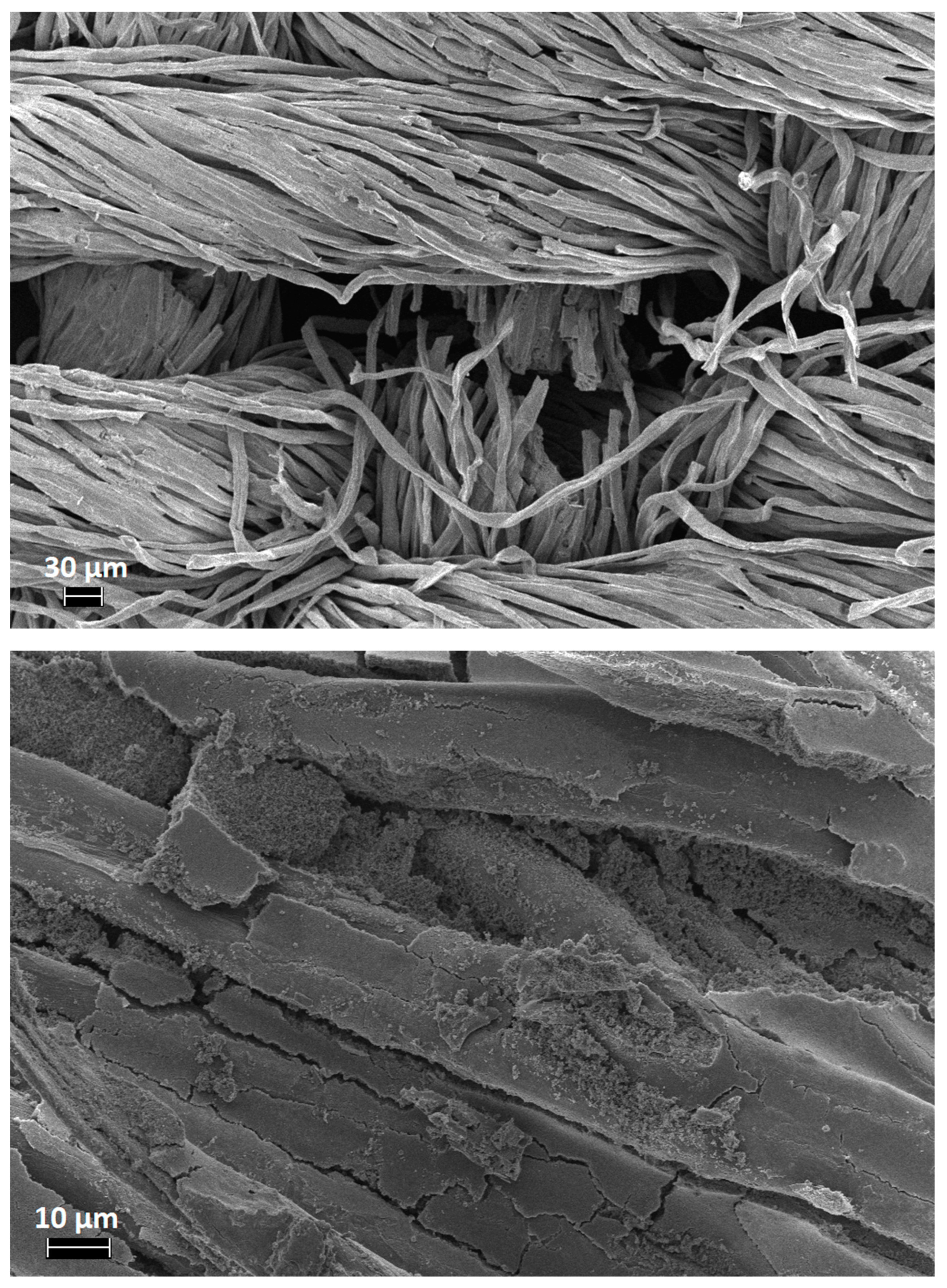 Polymers 11 01664 g012