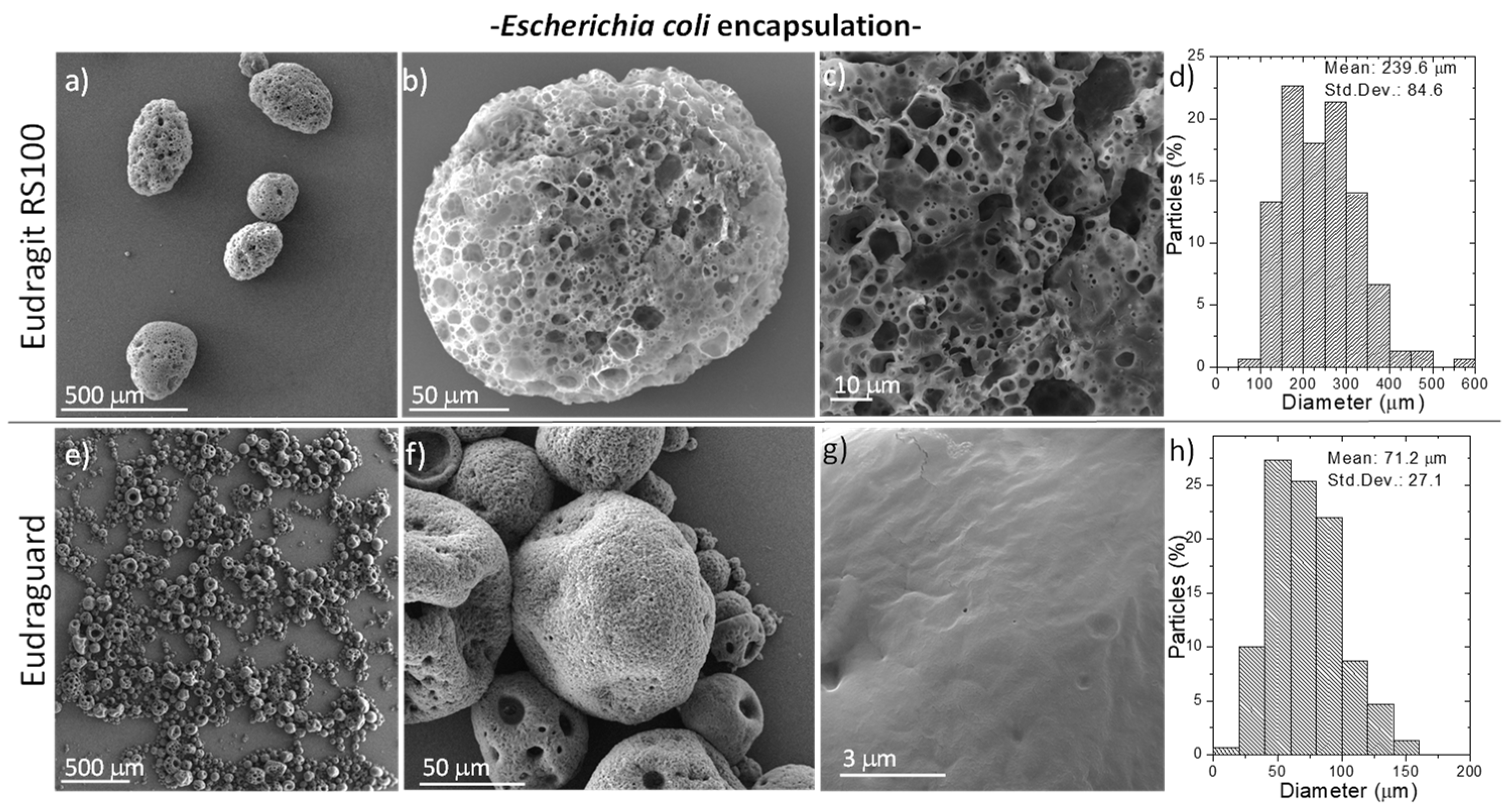 Polymers 11 01668 g003 Polymers 11 01668 g003