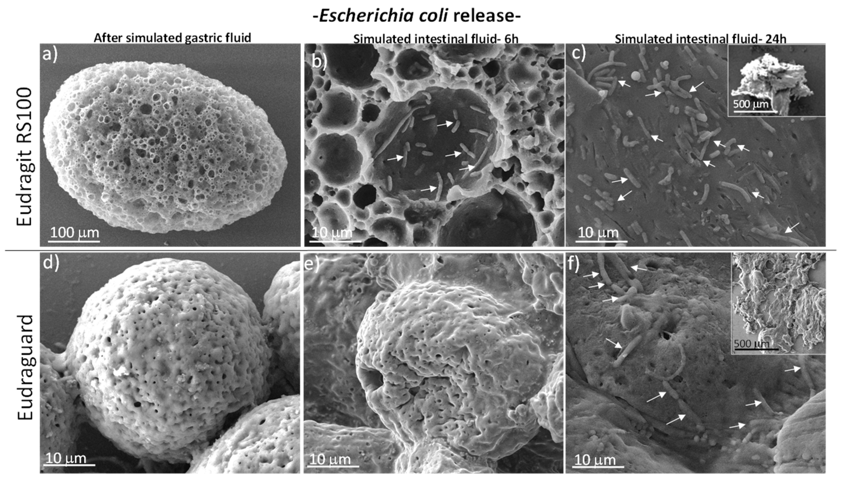 Polymers 11 01668 g006 Polymers 11 01668 g006