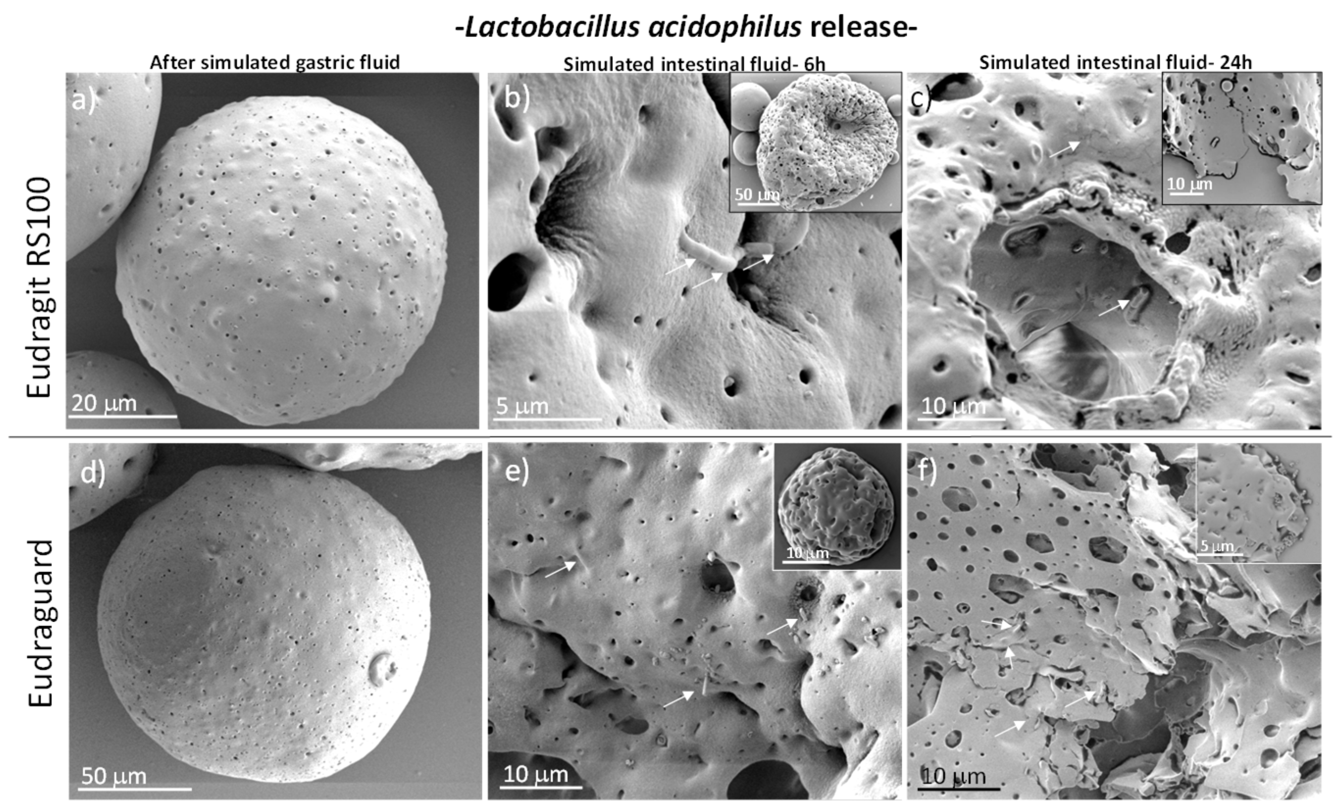 Polymers 11 01668 g007 Polymers 11 01668 g007