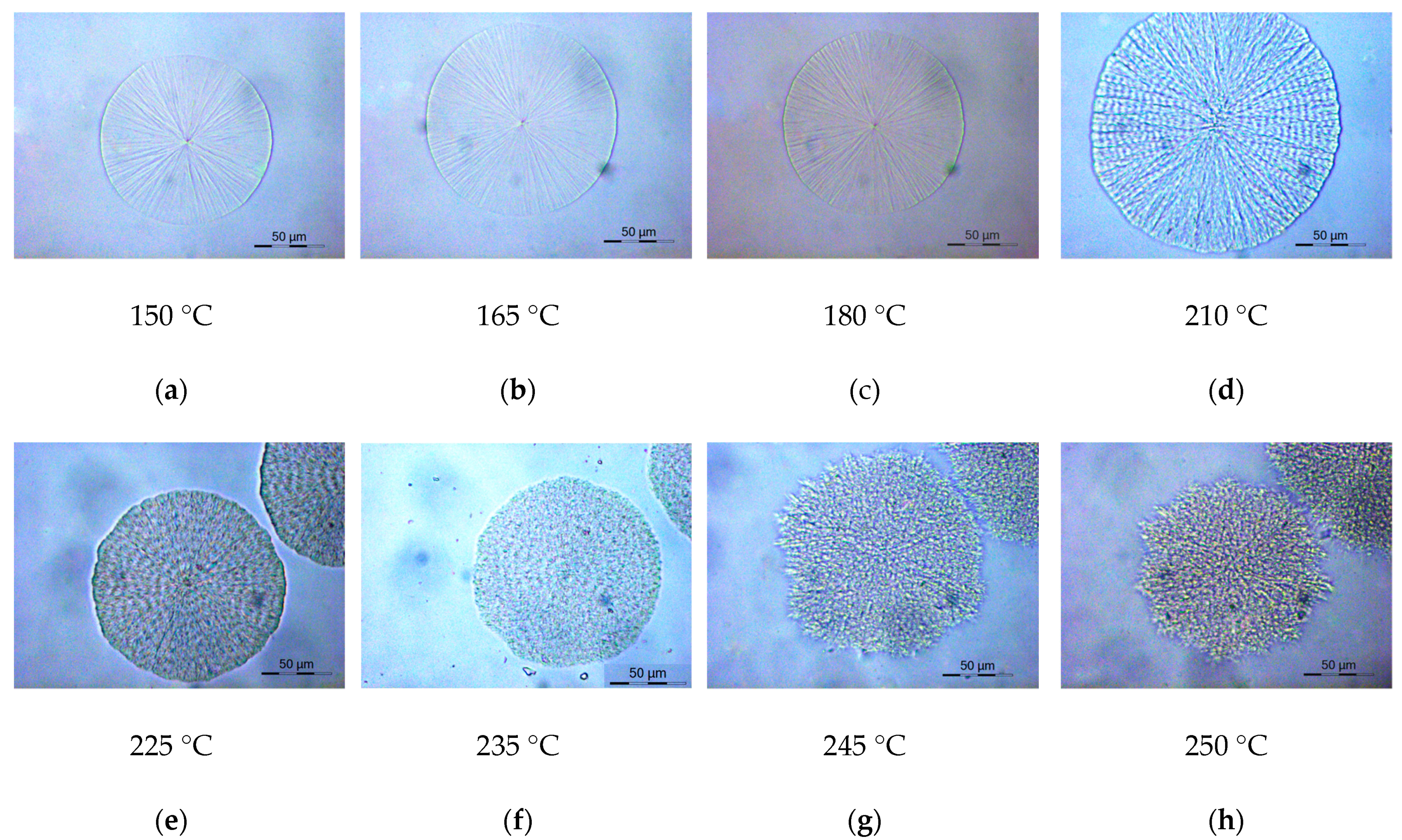 Polymers 11 01672 g010