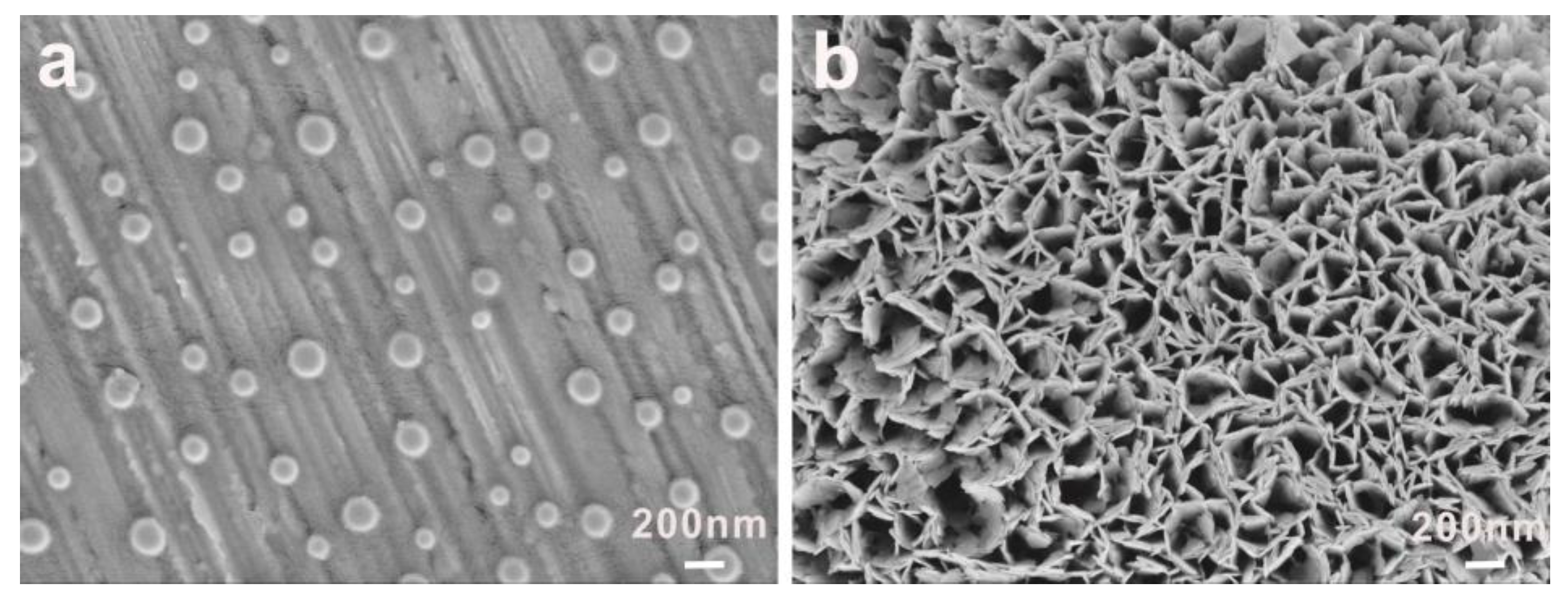 Polymers 11 01684 g003