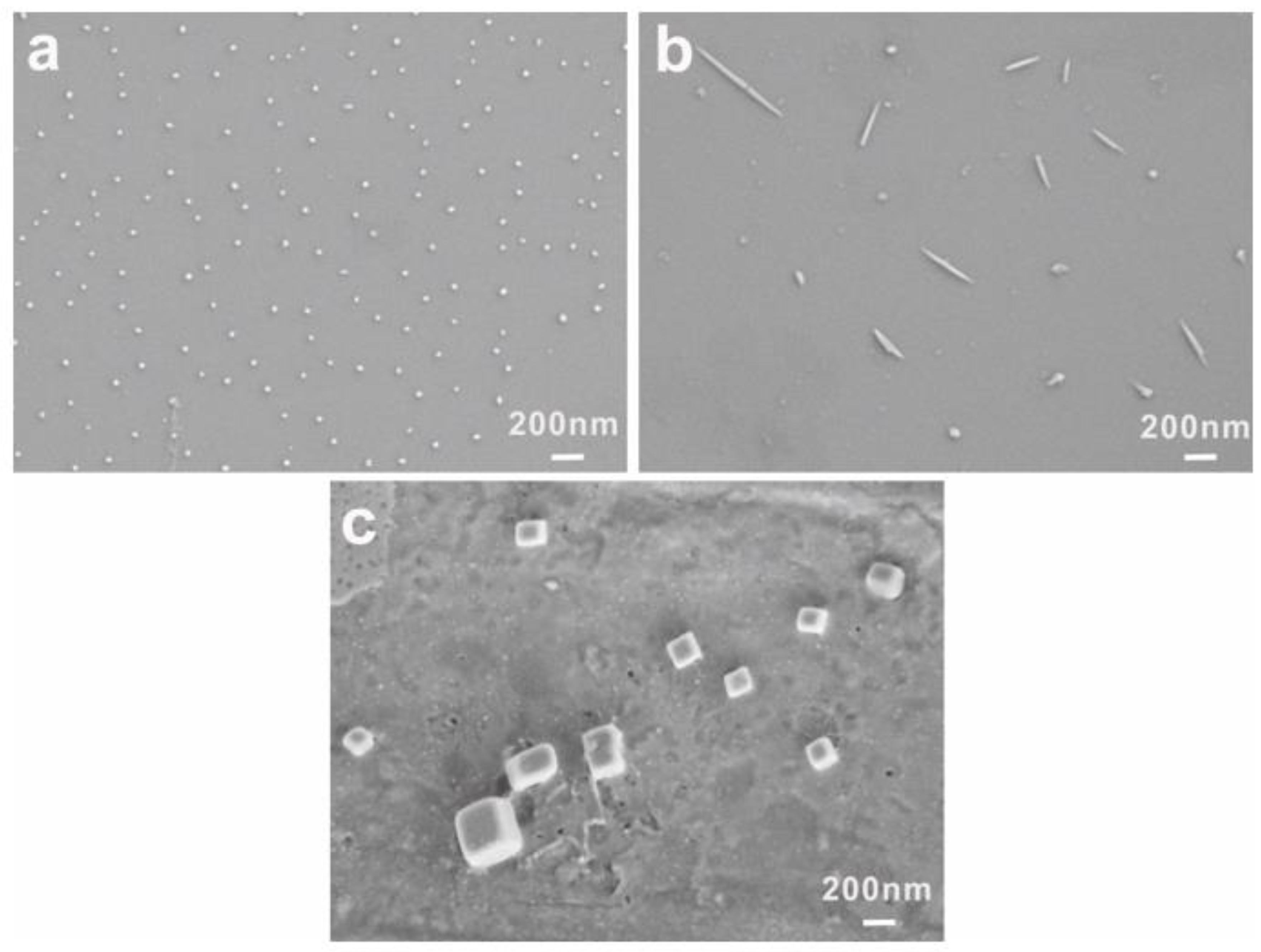 Polymers 11 01684 g004