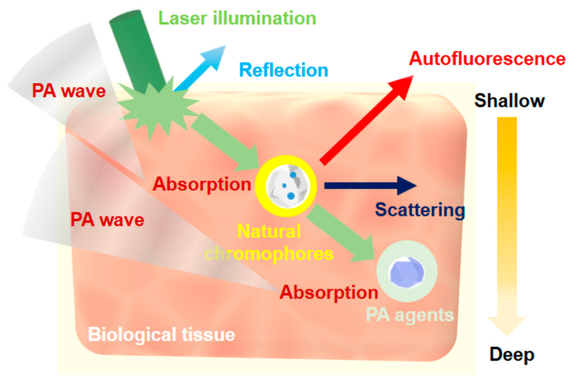 Polymers 11 01693 g002