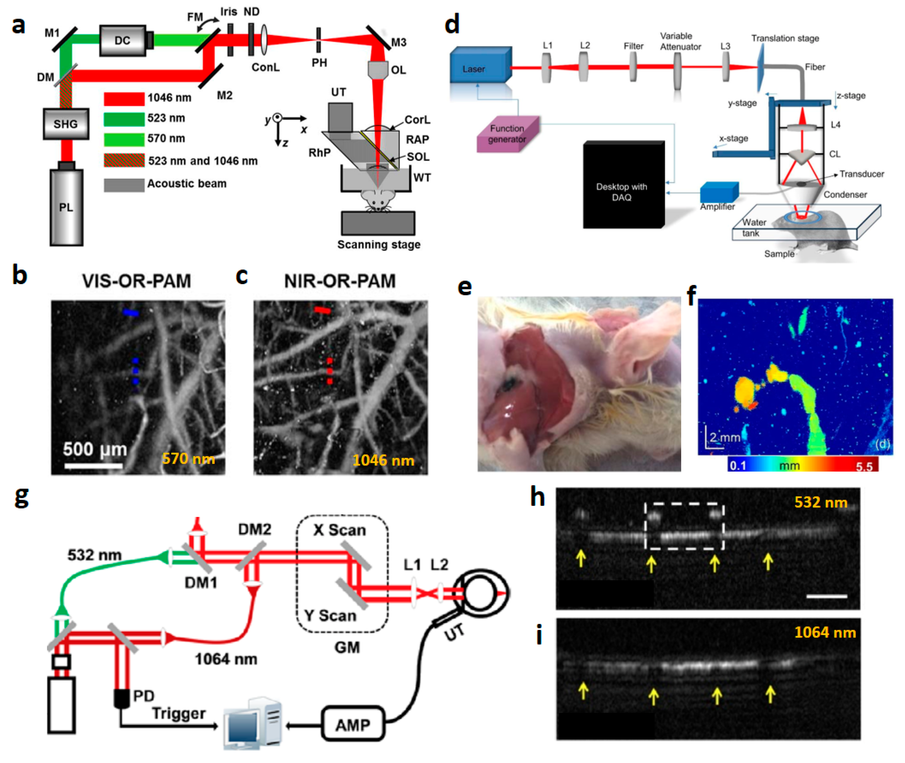Polymers 11 01693 g003