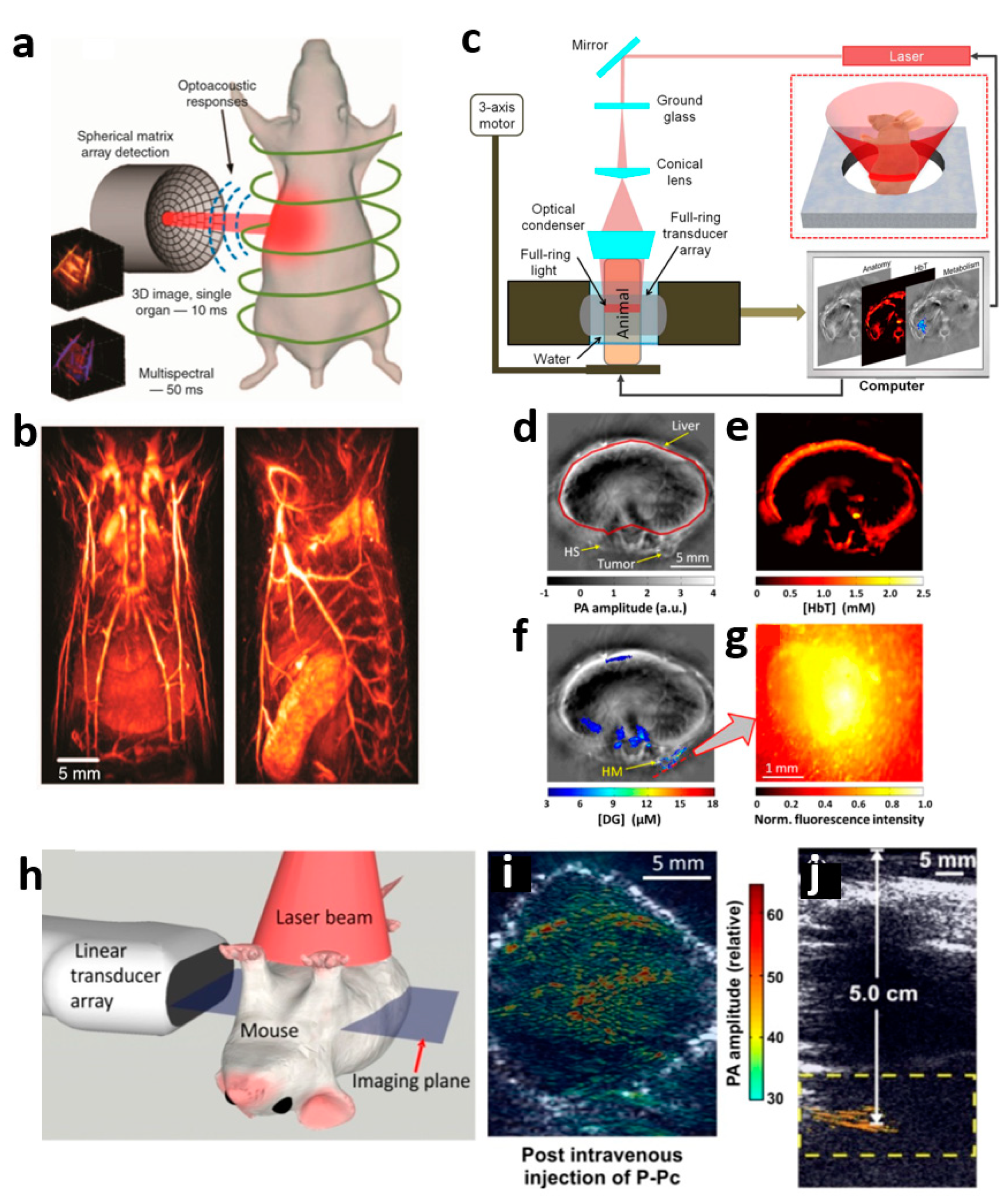 Polymers 11 01693 g004