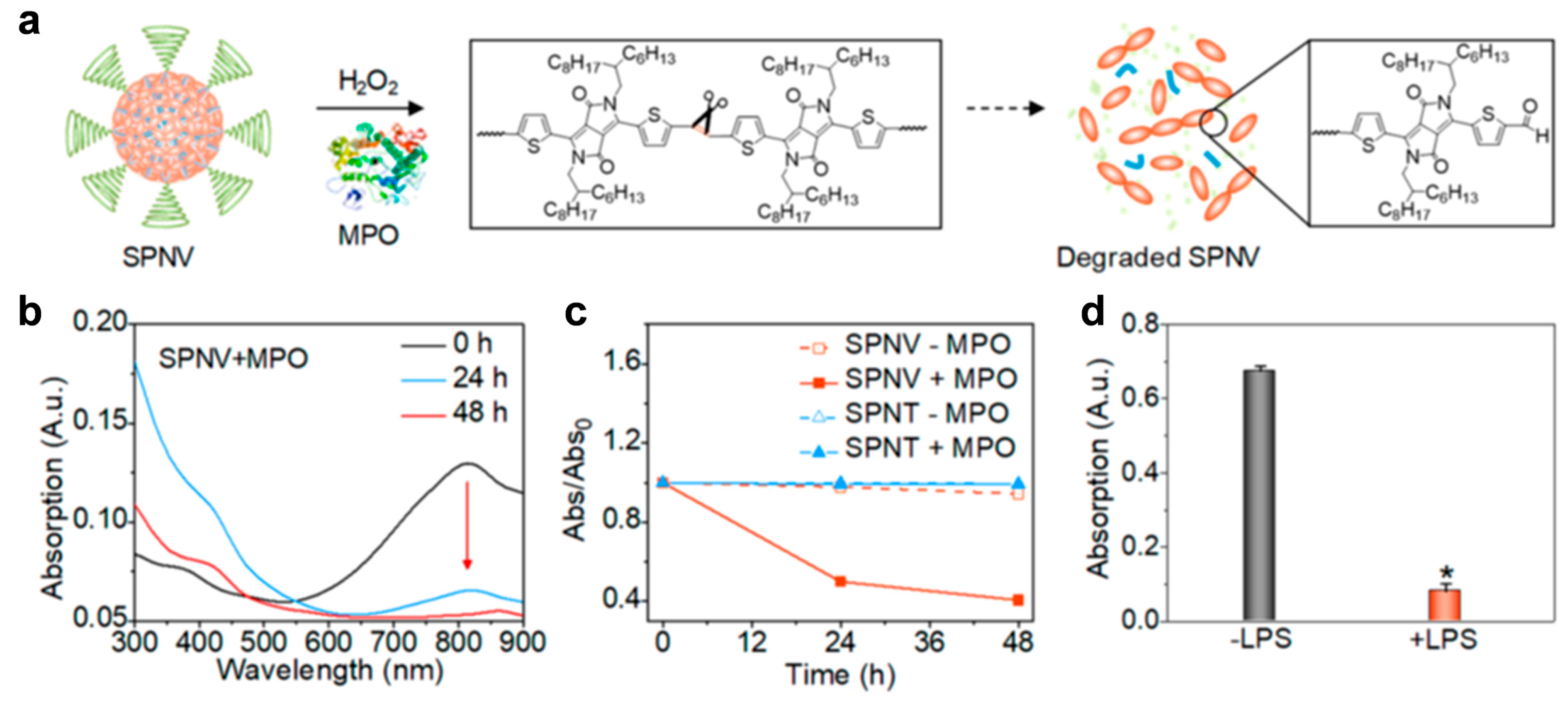 Polymers 11 01693 g009