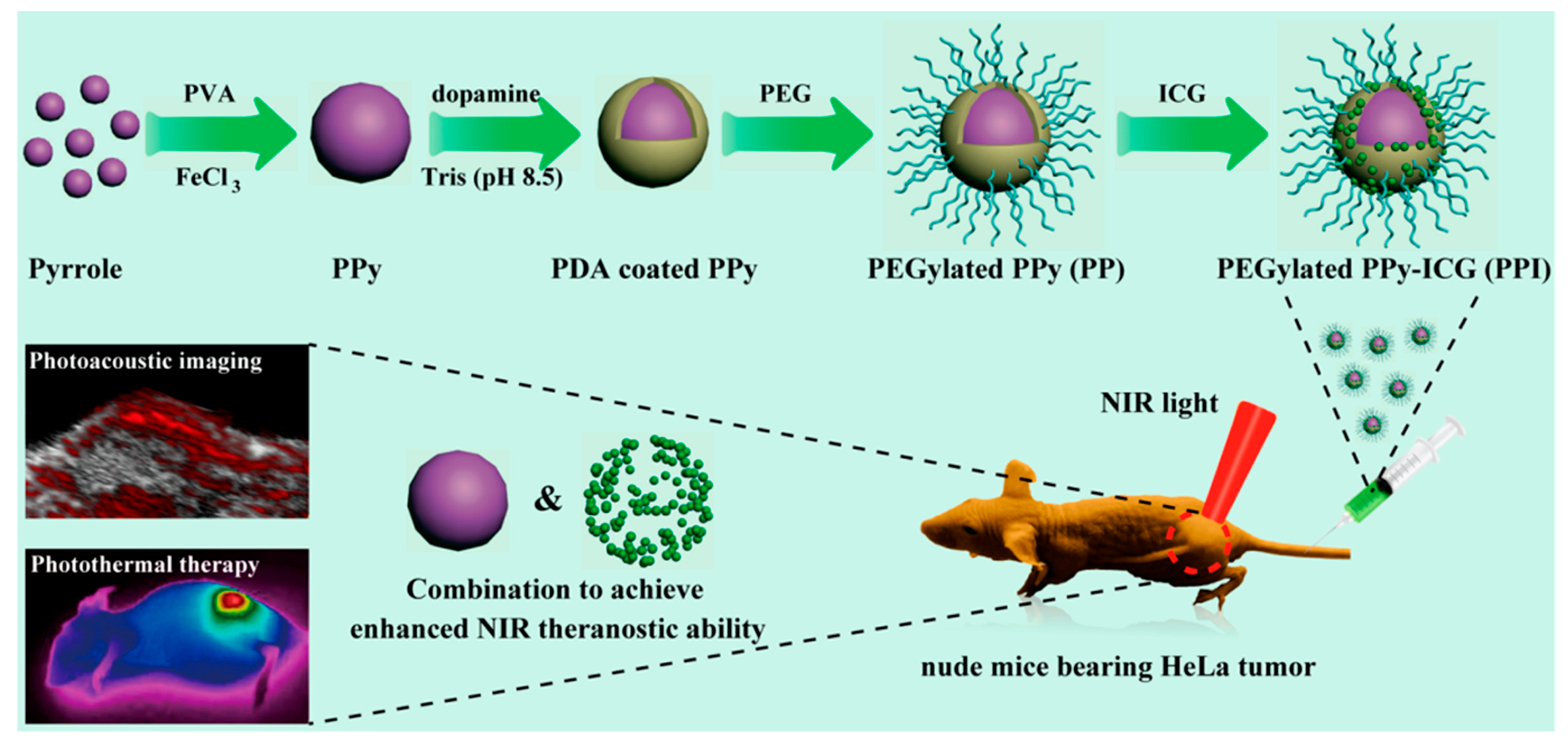 Polymers 11 01693 g010