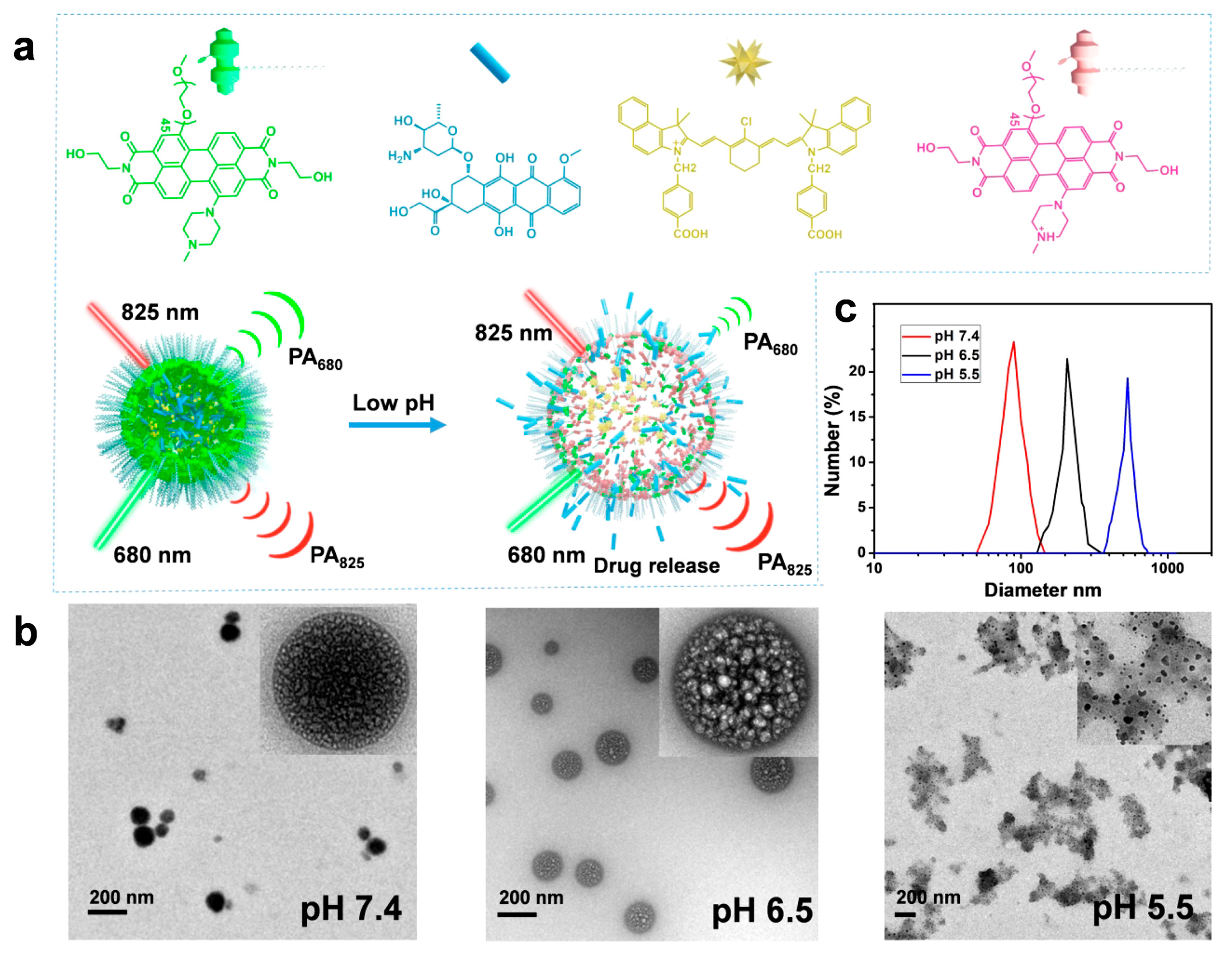 Polymers 11 01693 g012