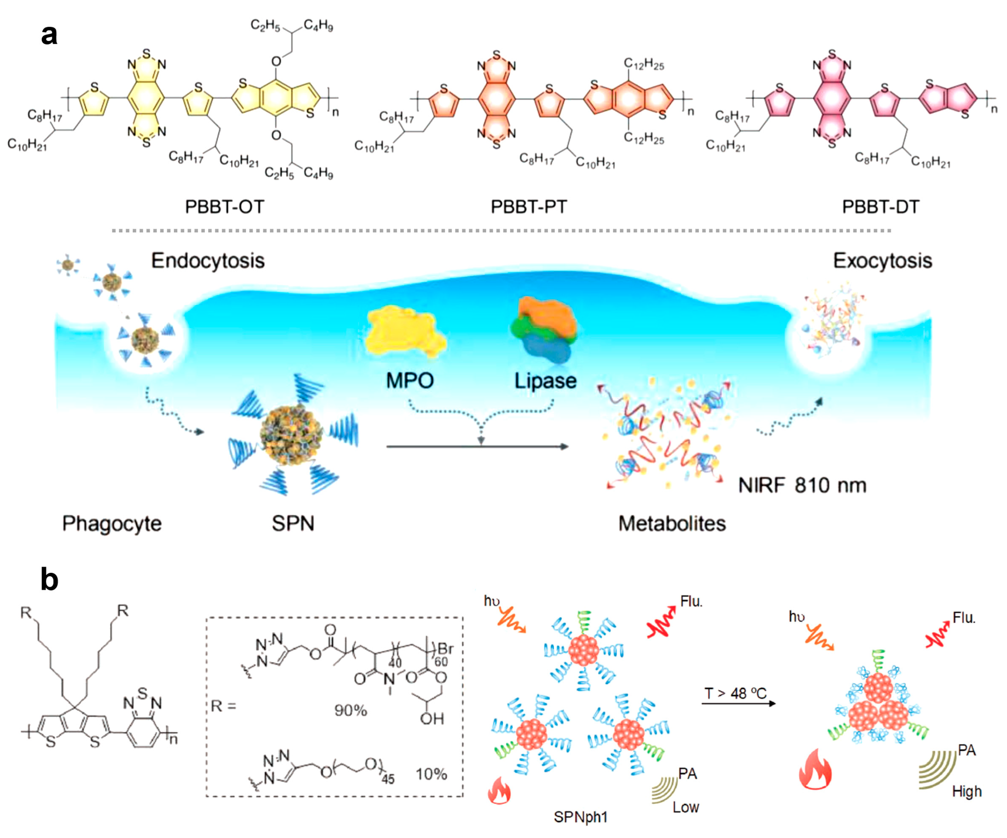 Polymers 11 01693 g017