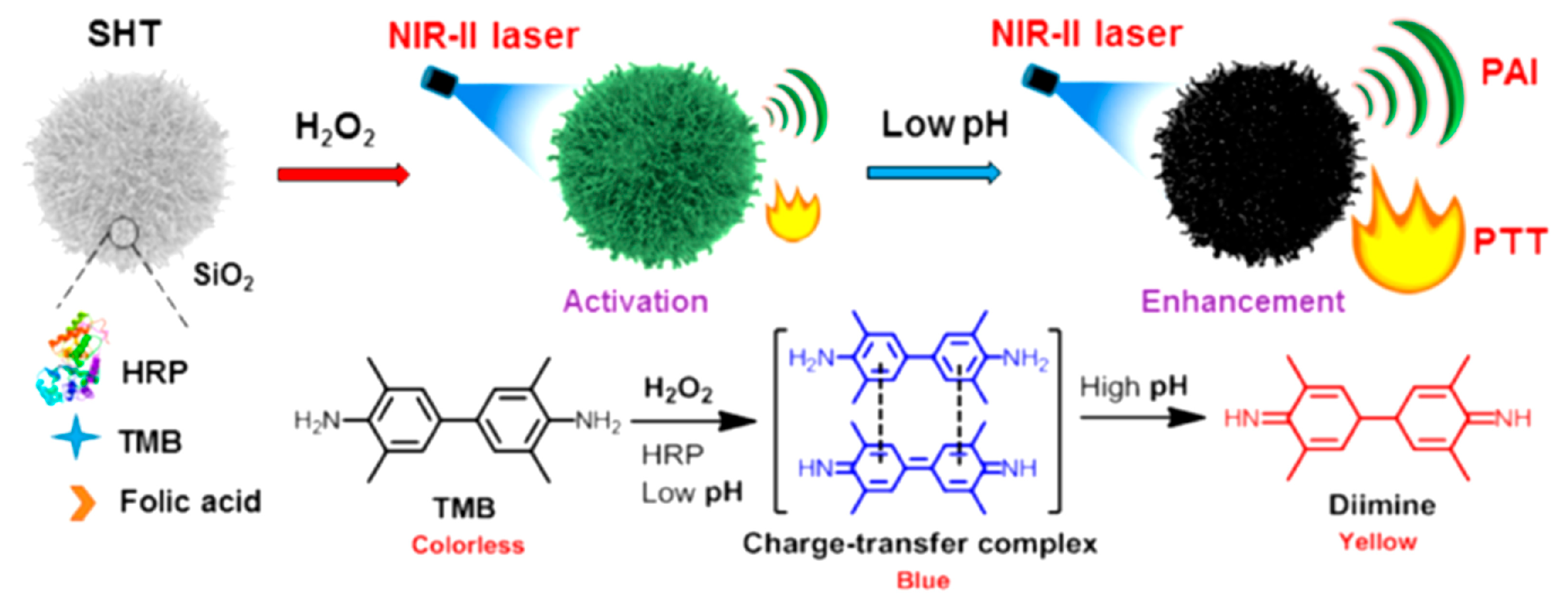 Polymers 11 01693 g020