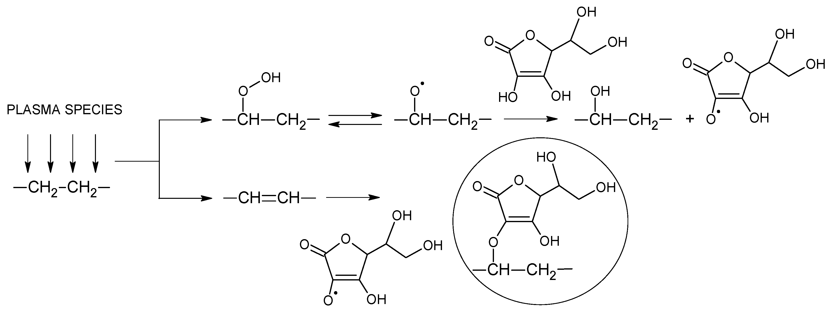 Polymers 11 01704 g001