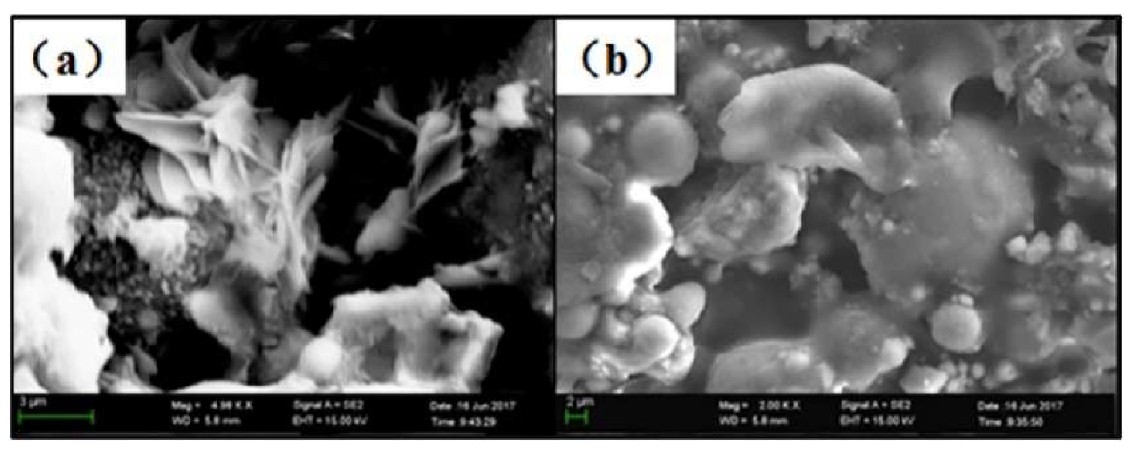 Polymers 11 01706 g018