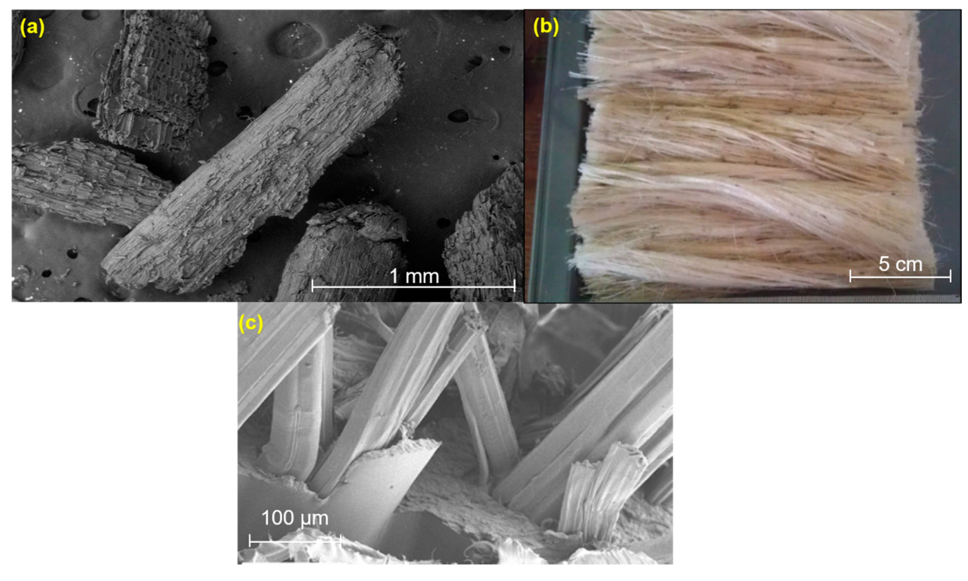 Polymers 11 01707 g001