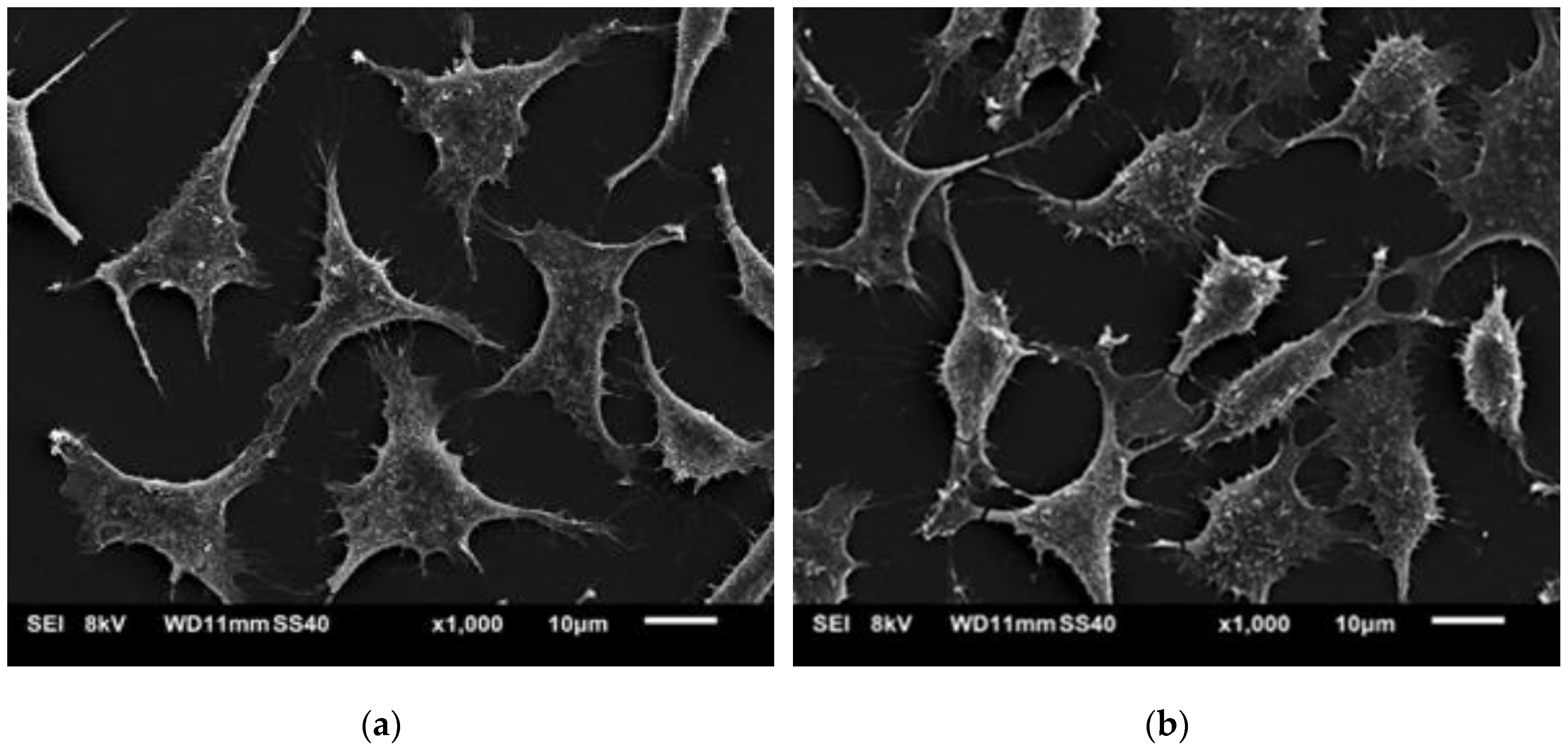 Polymers 11 01772 g011 Polymers 11 01772 g011