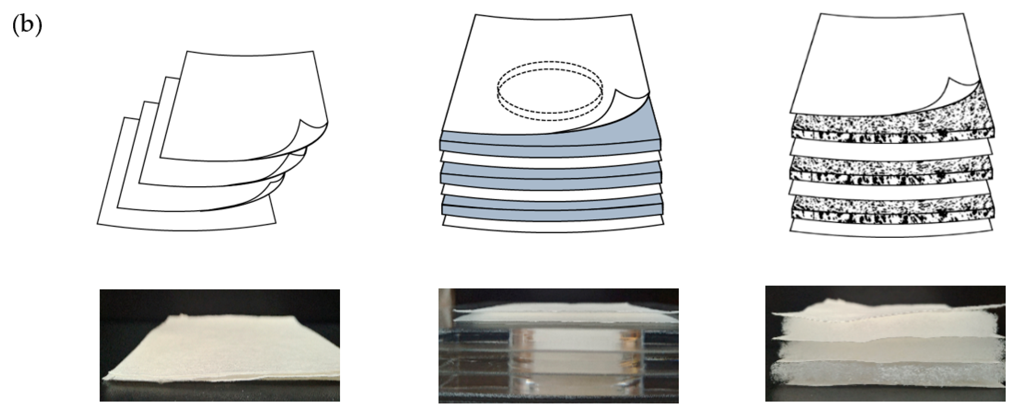 Polymers 11 01822 g002b