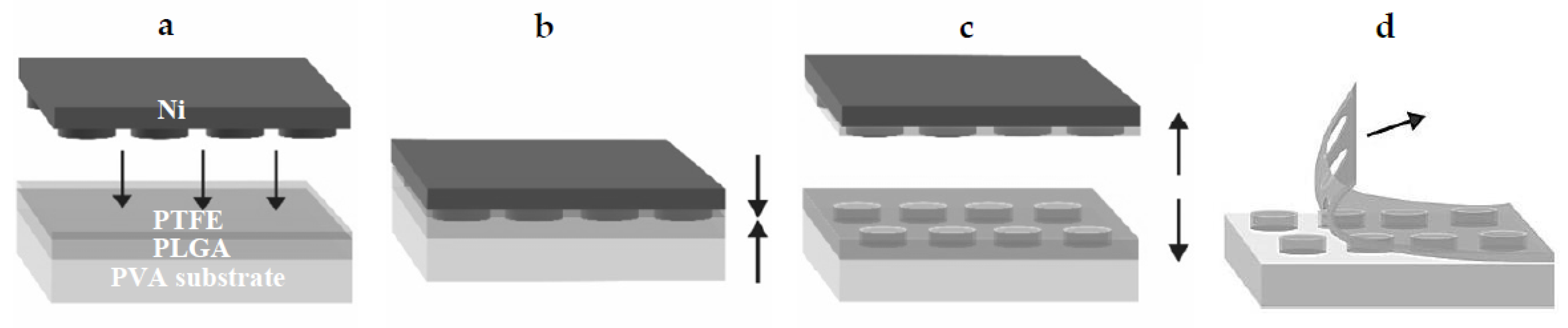 Polymers 11 01828 g001