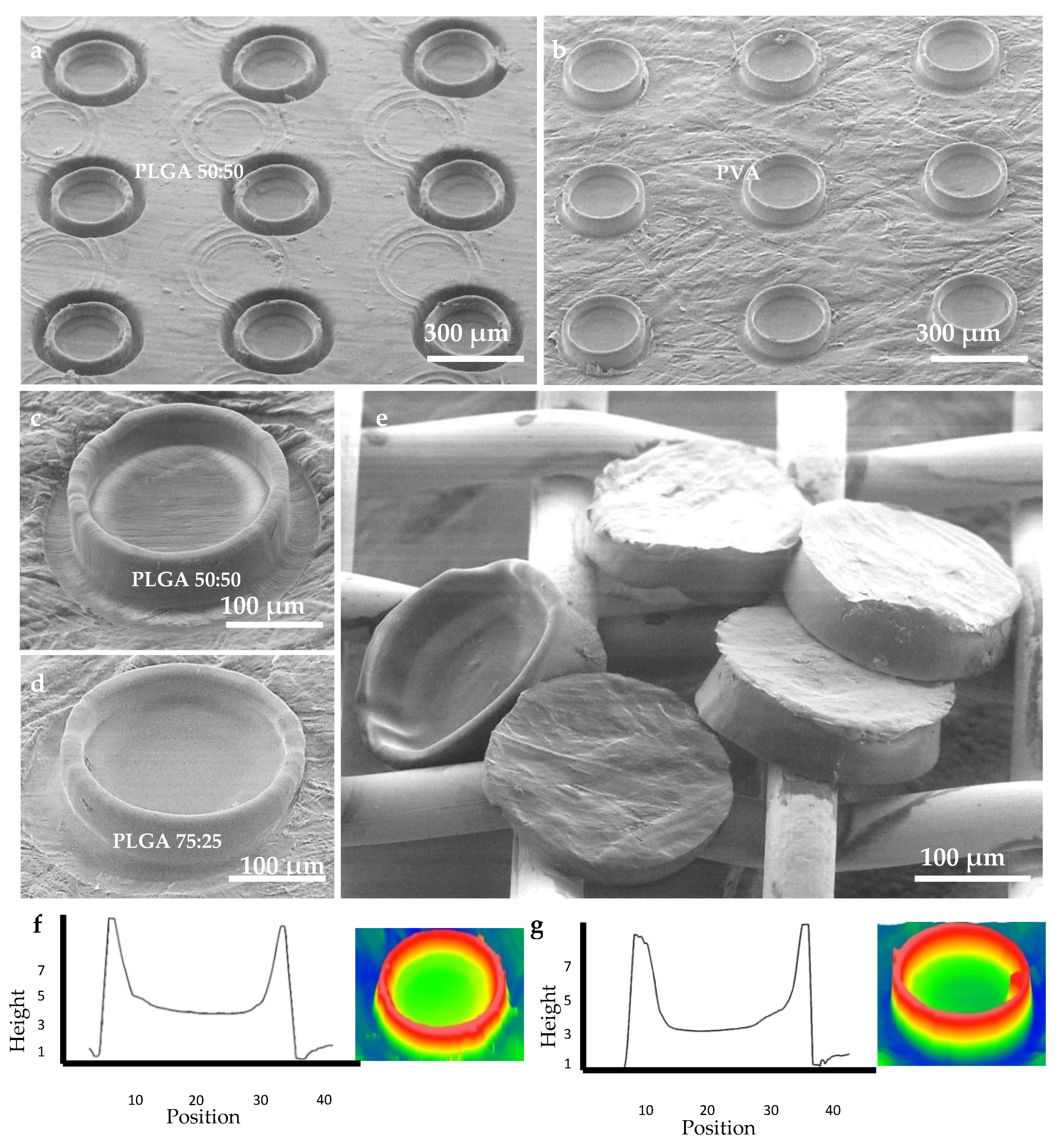 Polymers 11 01828 g002