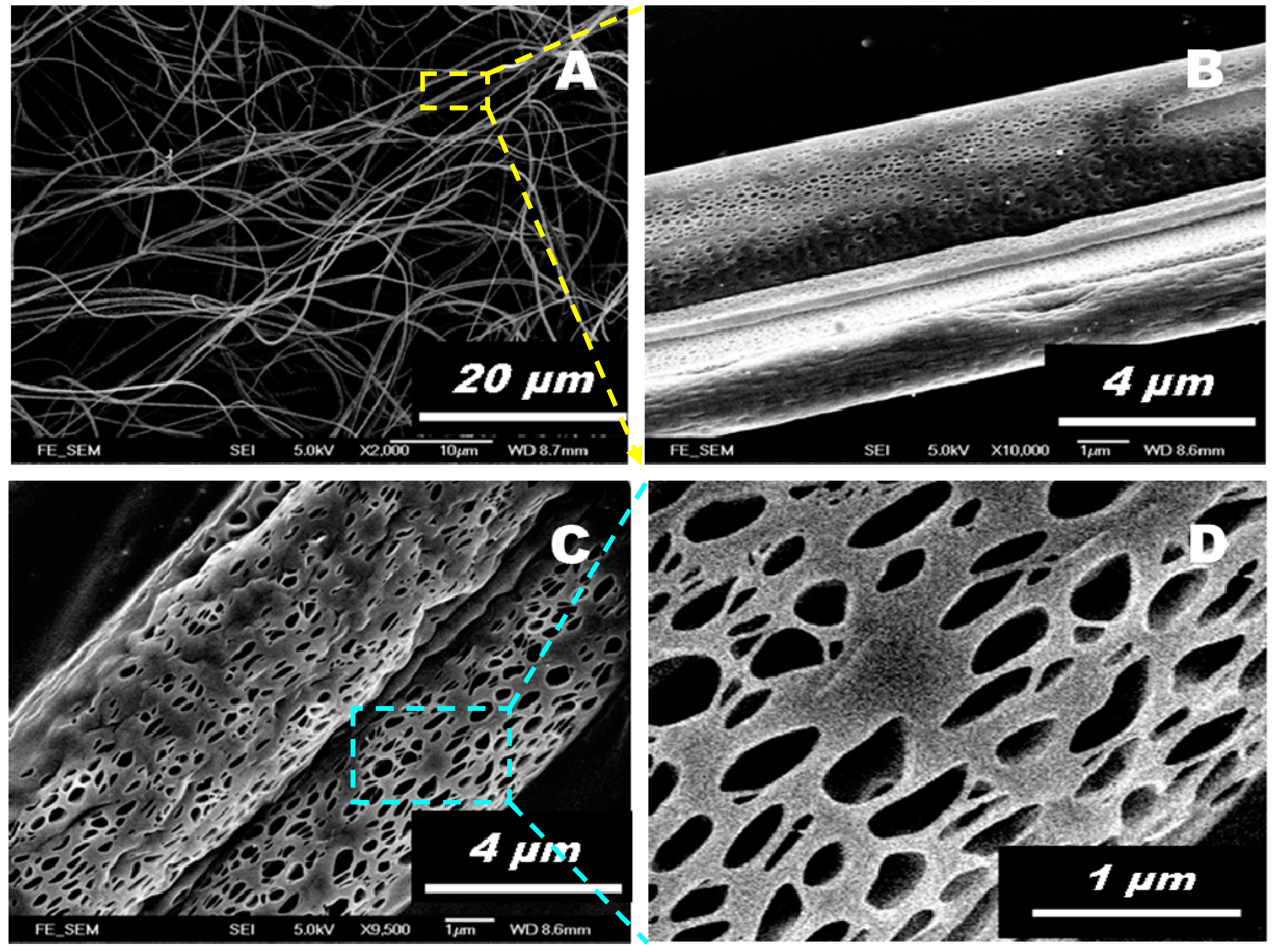 Polymers 11 01860 g001