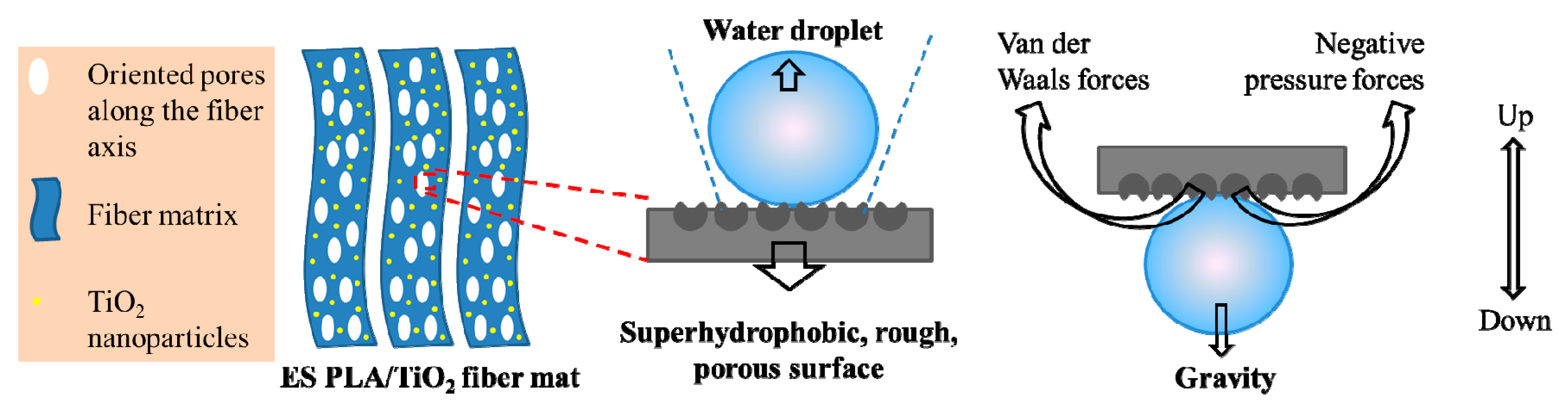 Polymers 11 01860 g004