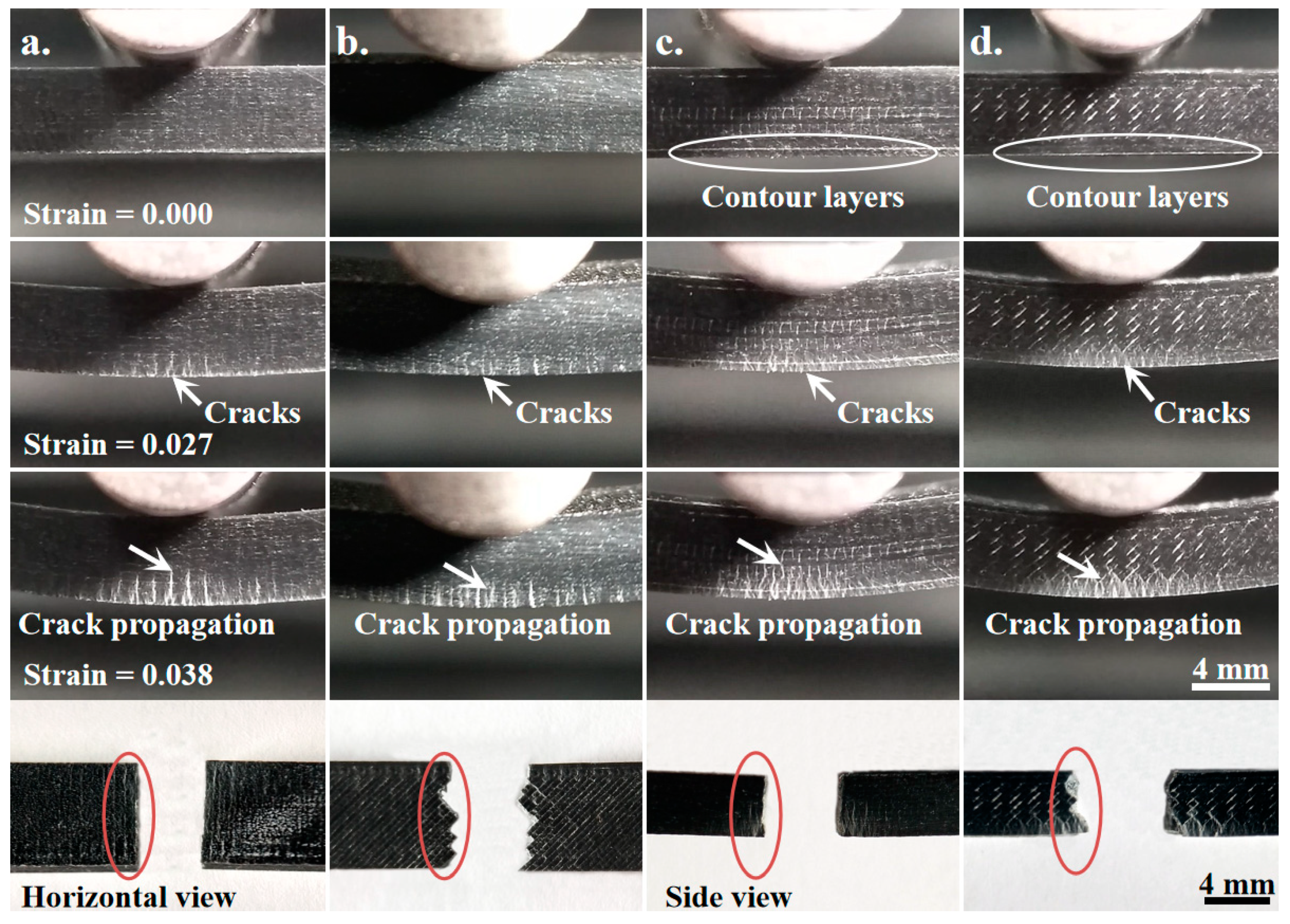 Polymers 11 01878 g006